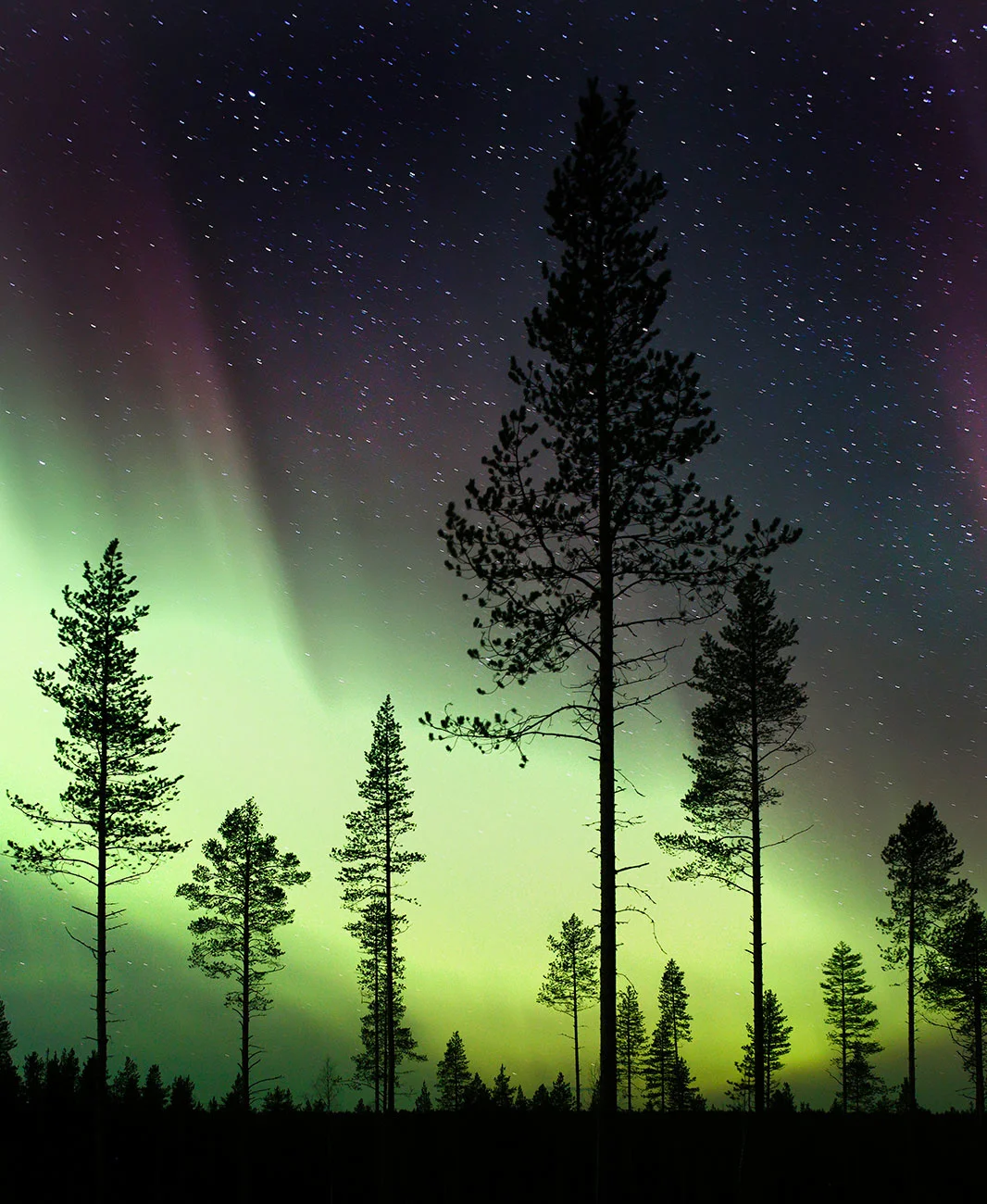 Arctic Circle / Finland