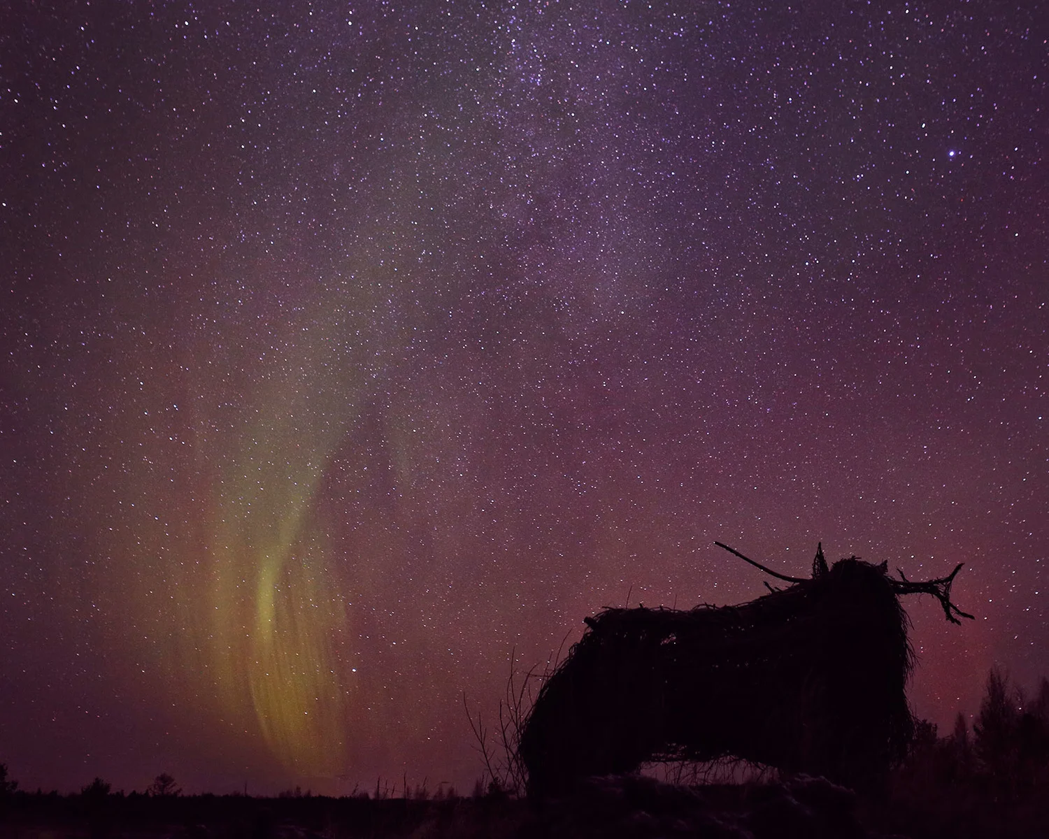 Arctic Circle / Finland