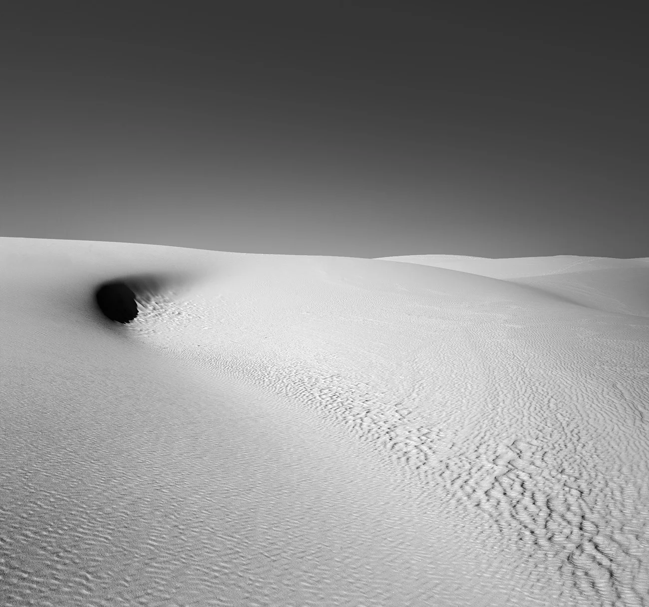 _61A0969.jpg