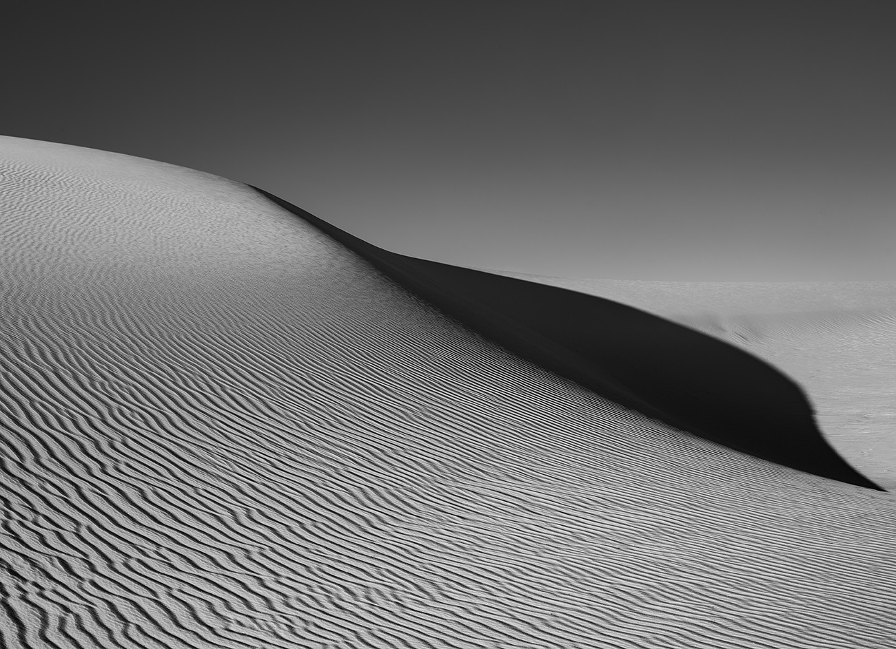 _61A1147.jpg