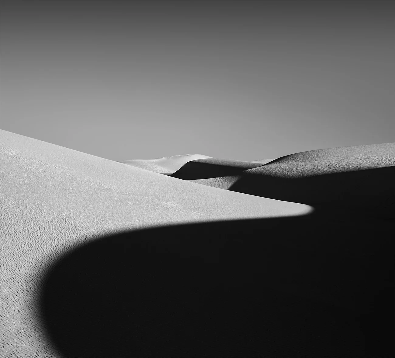 _61A1255.jpg