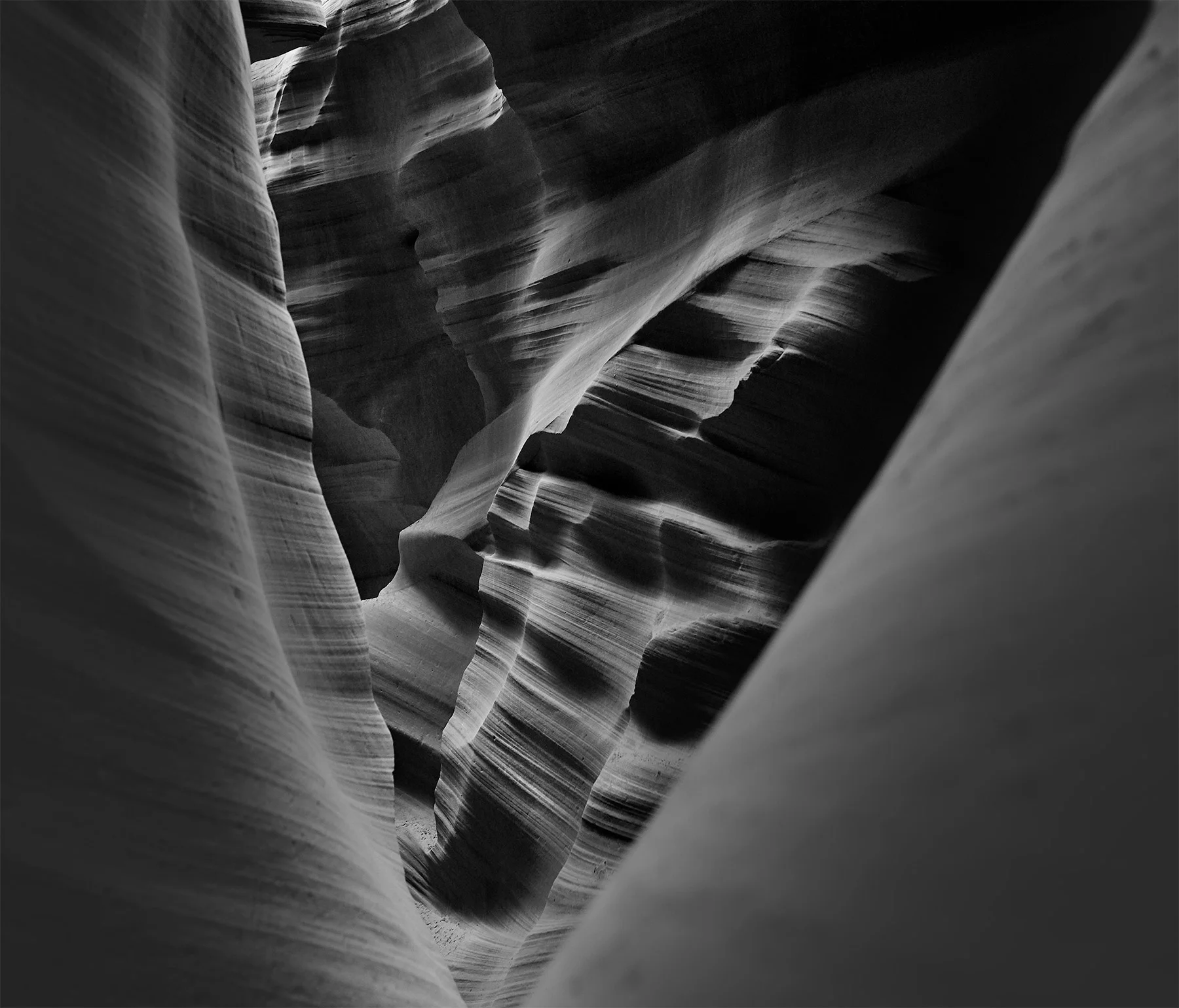 _61A0729.jpg