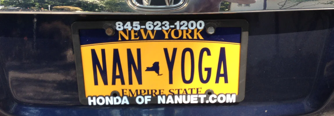 nanNanYogaLicPlt.jpg
