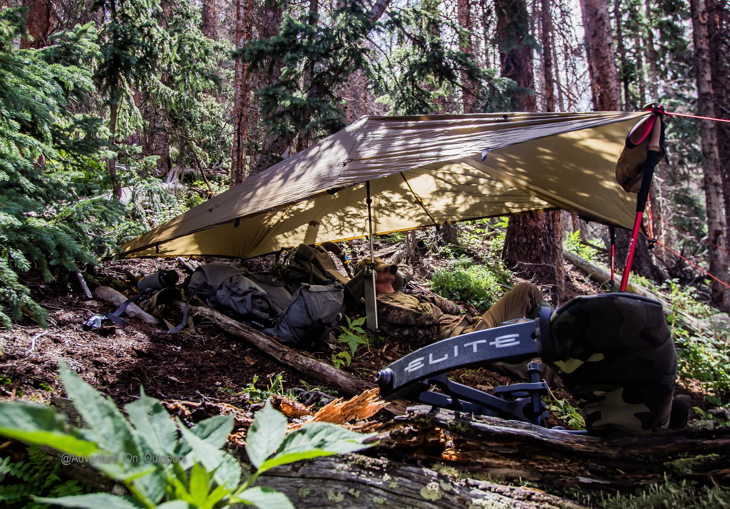 FOREST SHELTER ELK CAMP.jpg