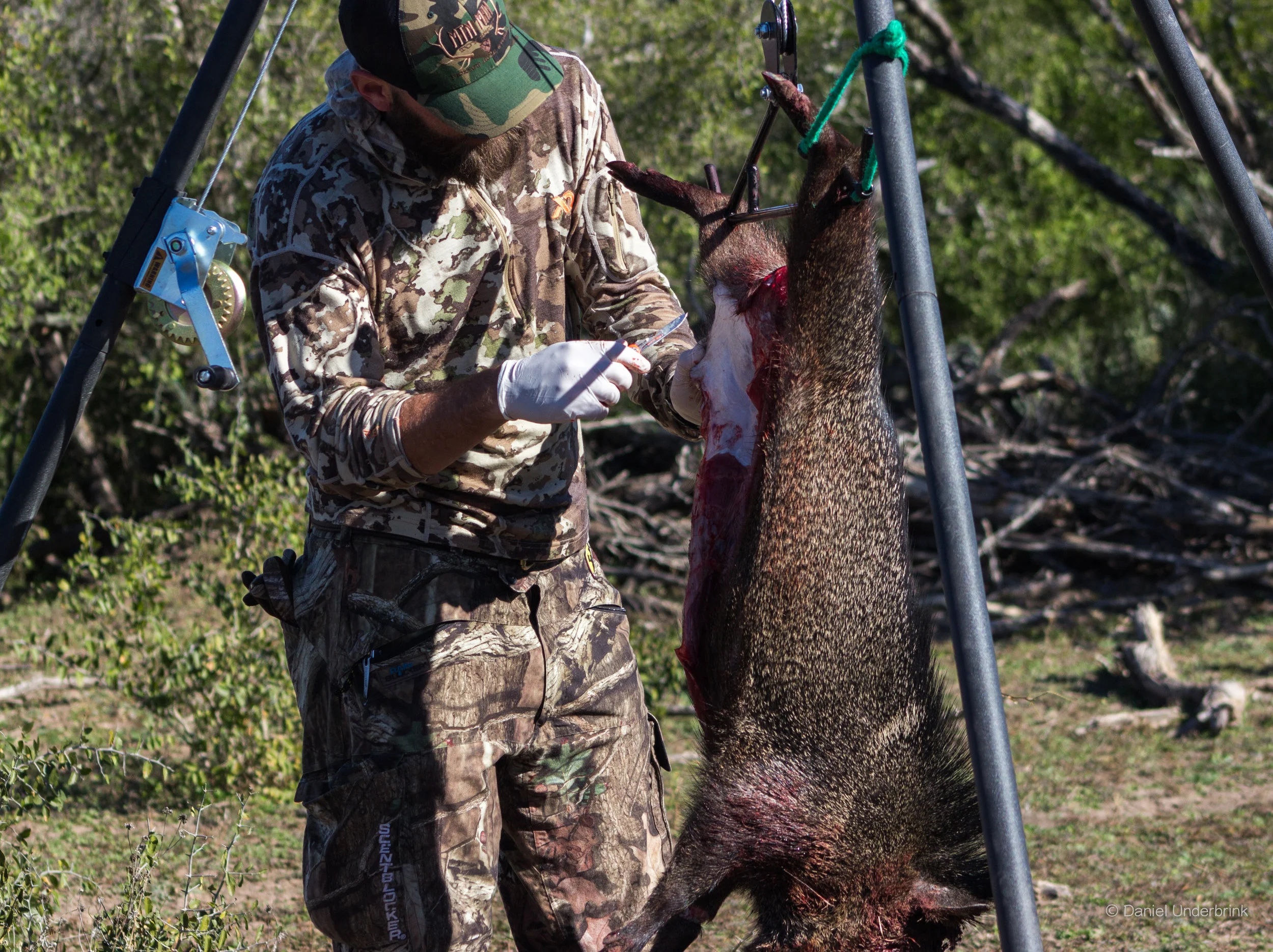 Mike Skinning Jav.jpg