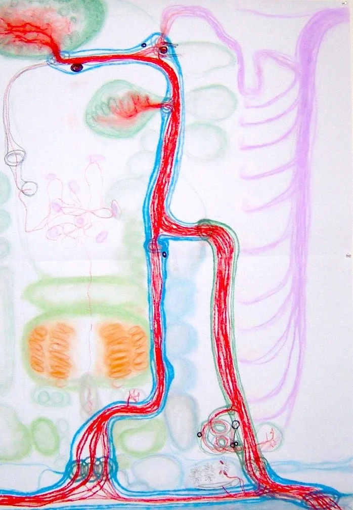 Nelson Biogram