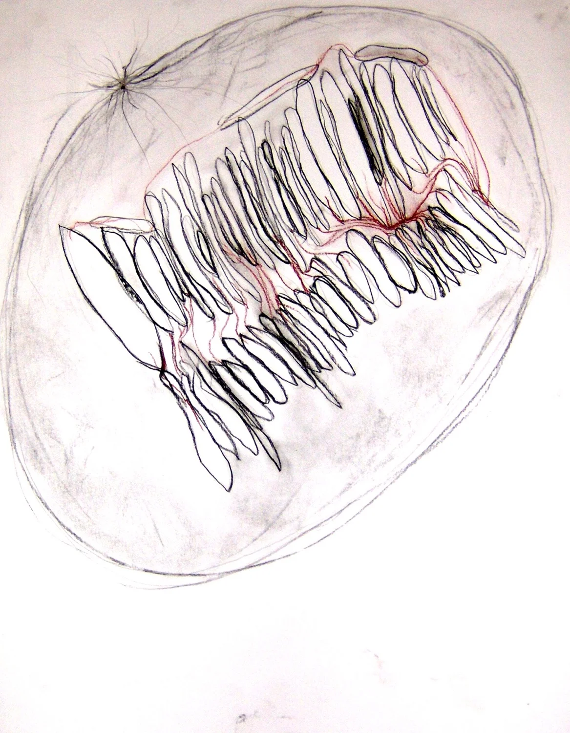 Cell Mitosis Library #1
