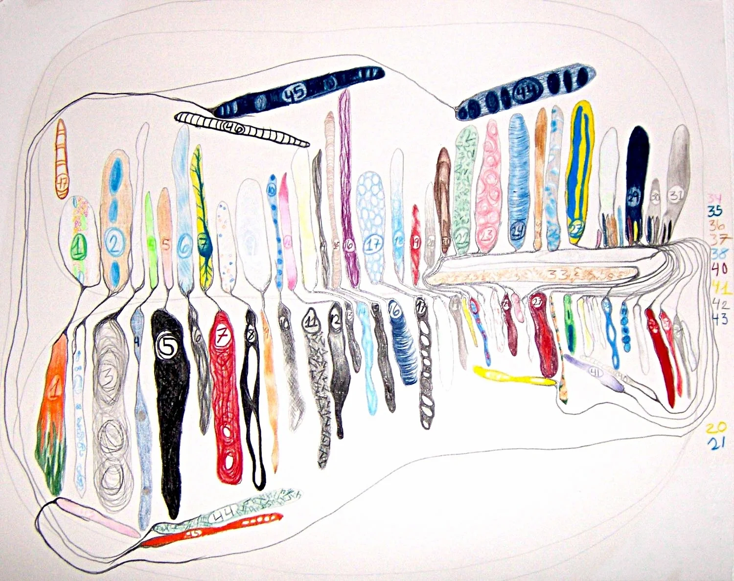 Cell Mitosis Library #2