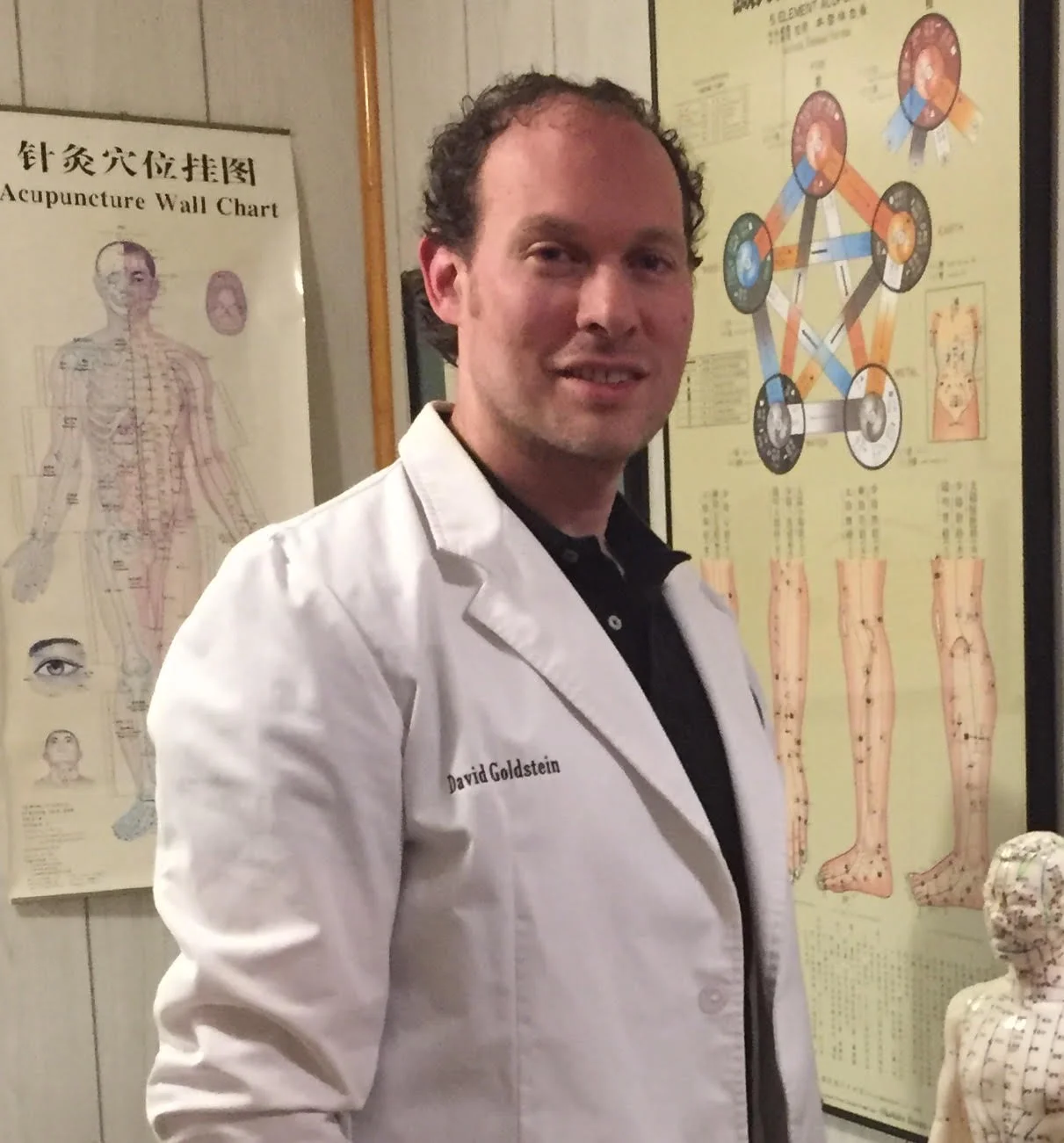 David Goldsten, LAc, Herbalist