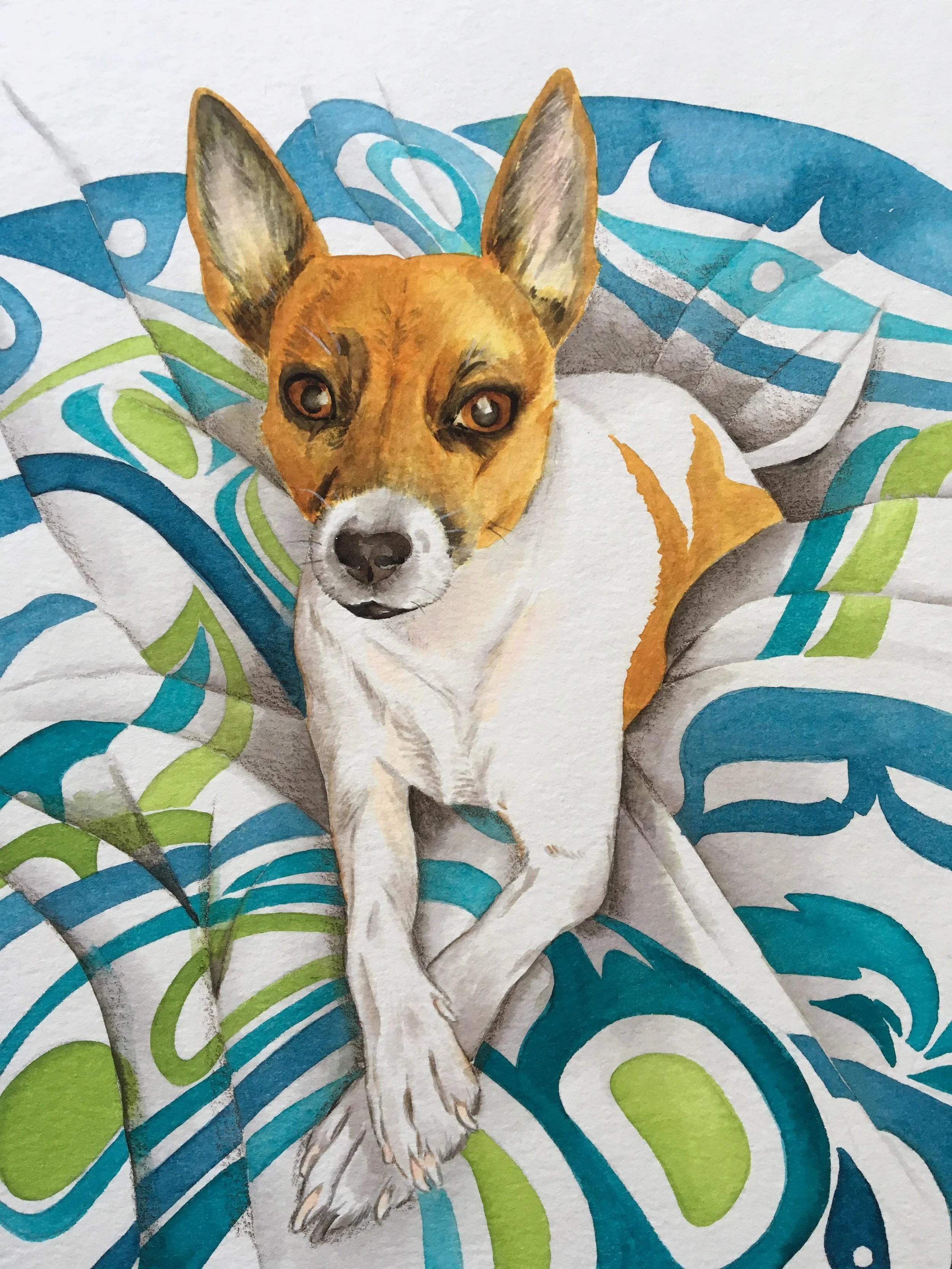 Sadie girl-1.jpg
