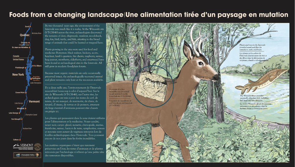 3.Foods from a Changing Landscape.png