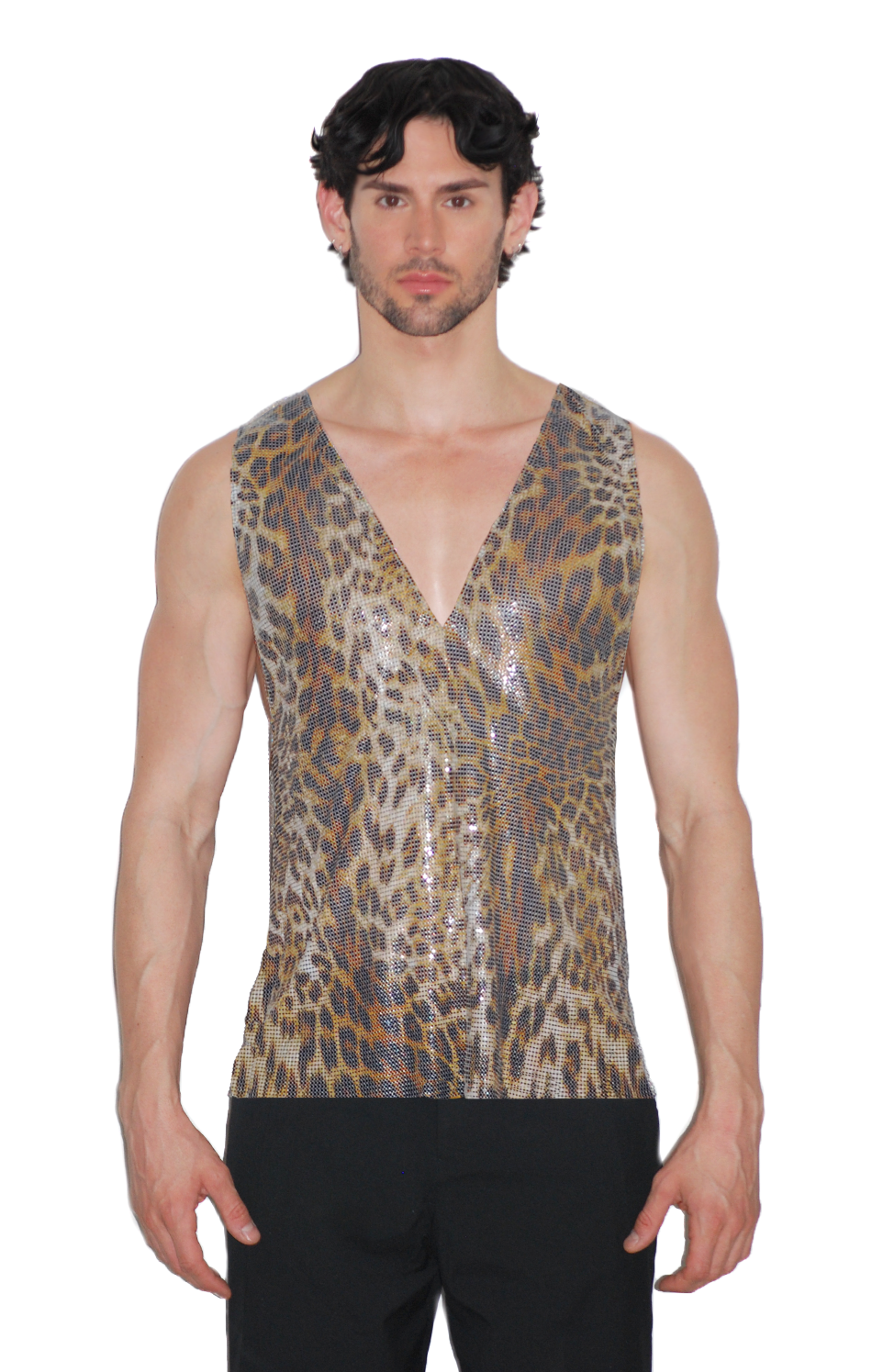 Chainmailleopard_front.png