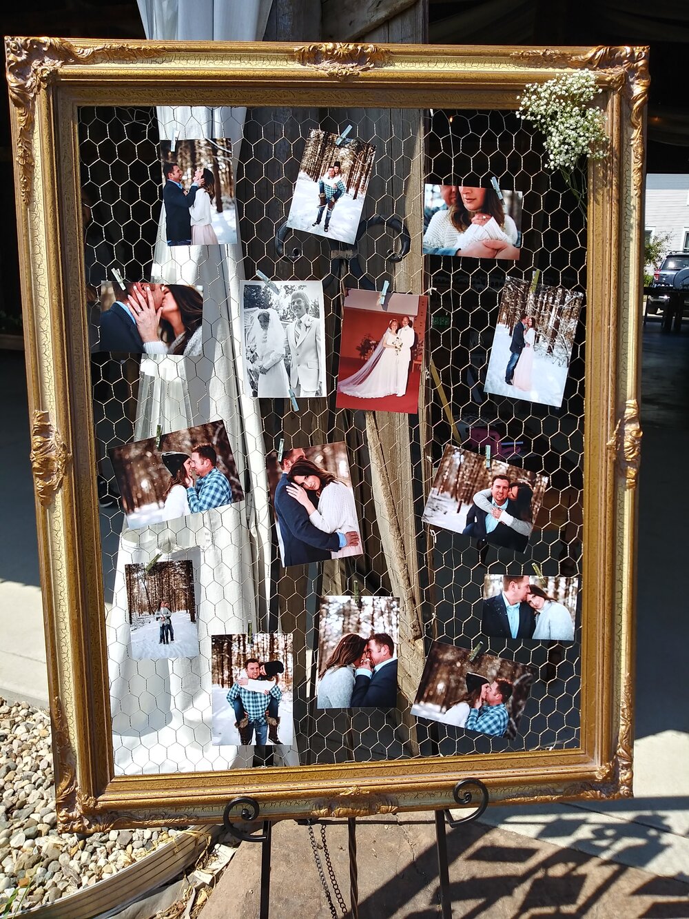 48 x 37 Gold Detailed Chicken Wire Frame for rent from Delicate Dishes —  Delicate Dishes LLC