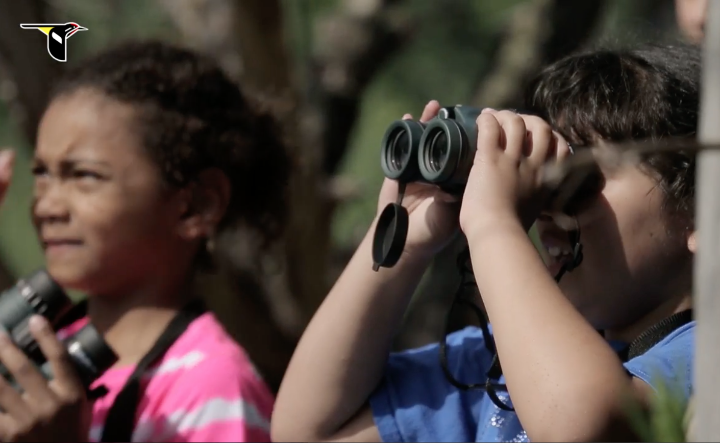 The Joy of Seeing with Binoculars