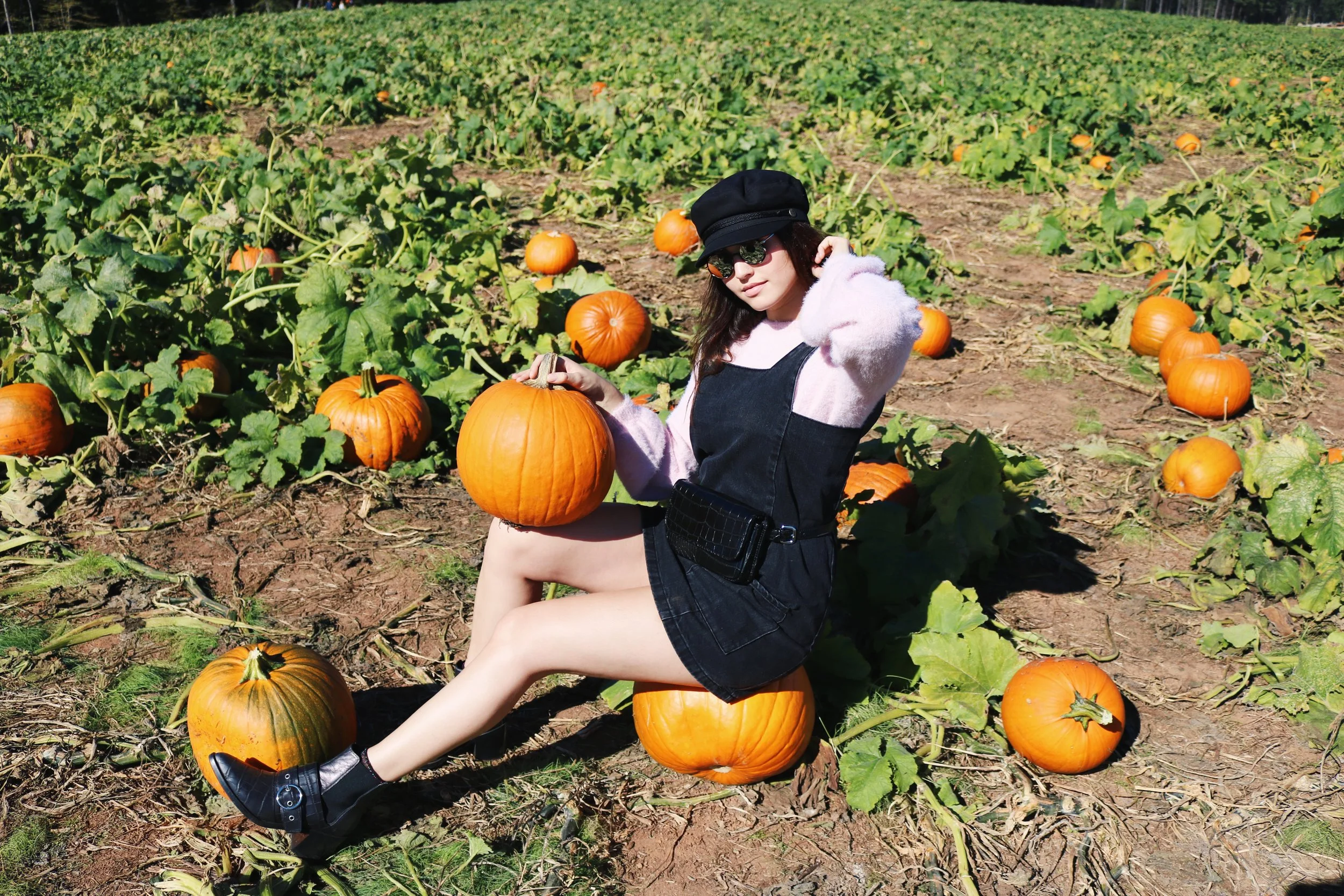 Pumpkin Patch