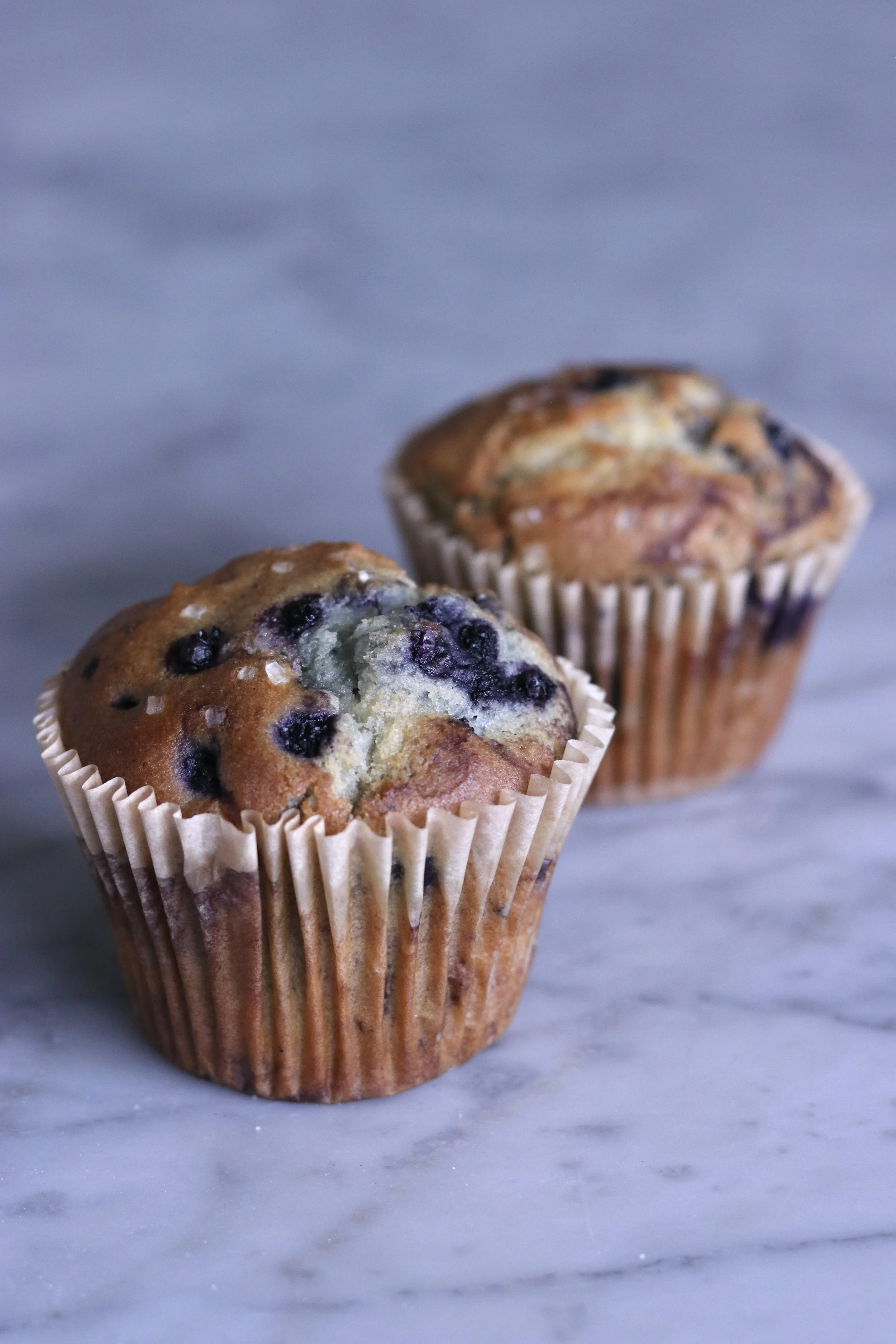 Blueberry Lemon Muffin (GF)