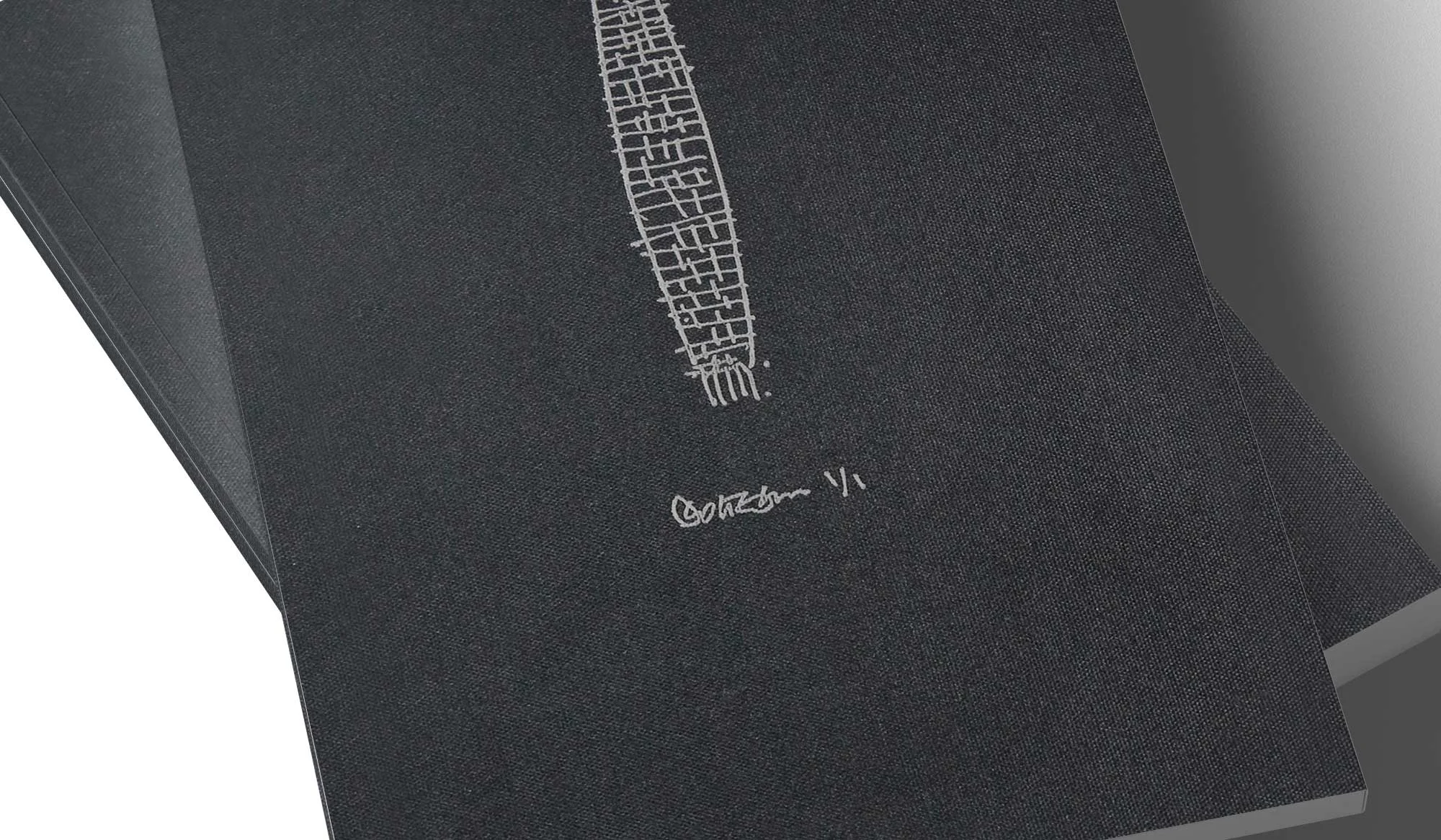 MTbook cover.jpeg