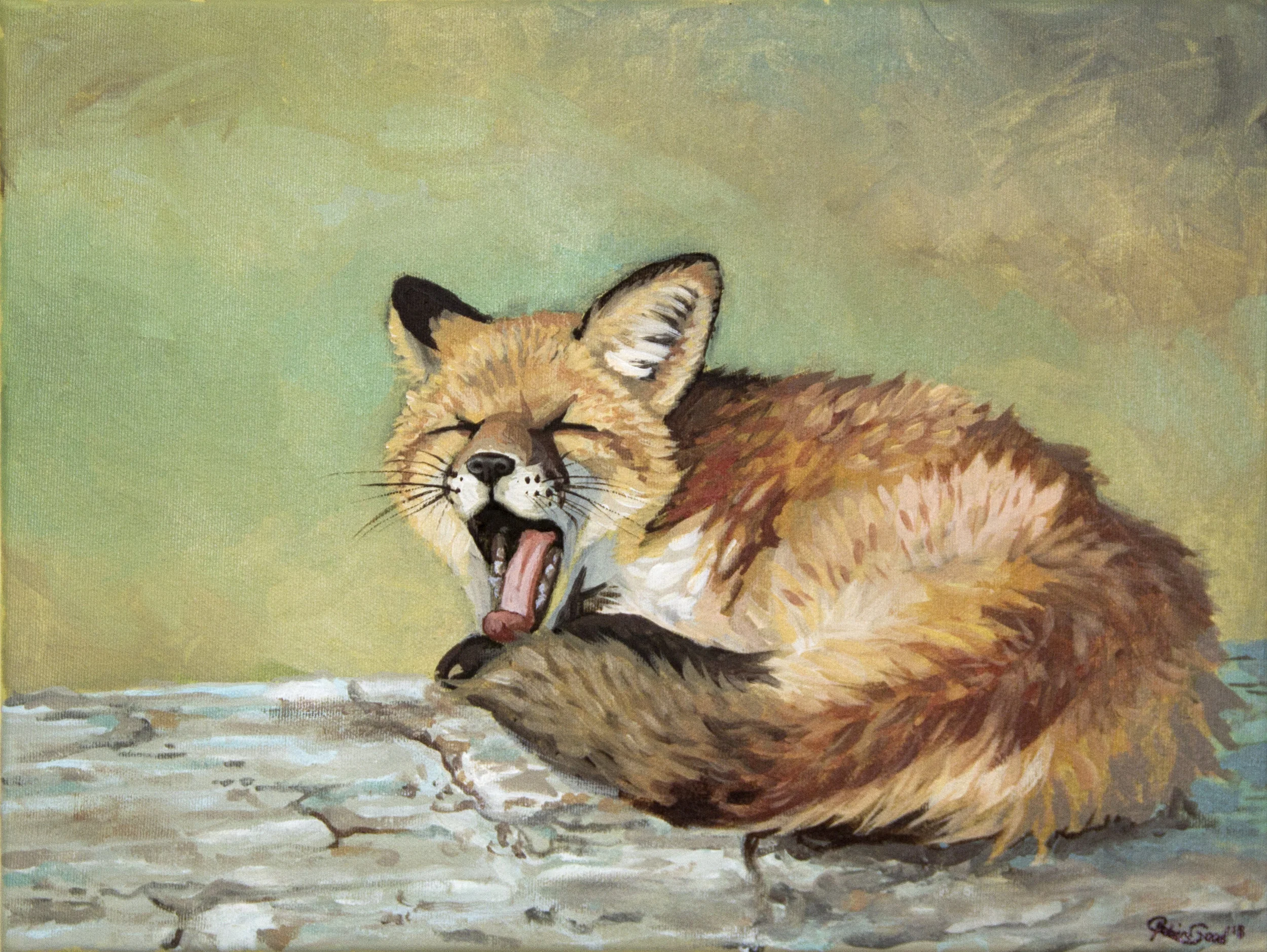 fox.jpg