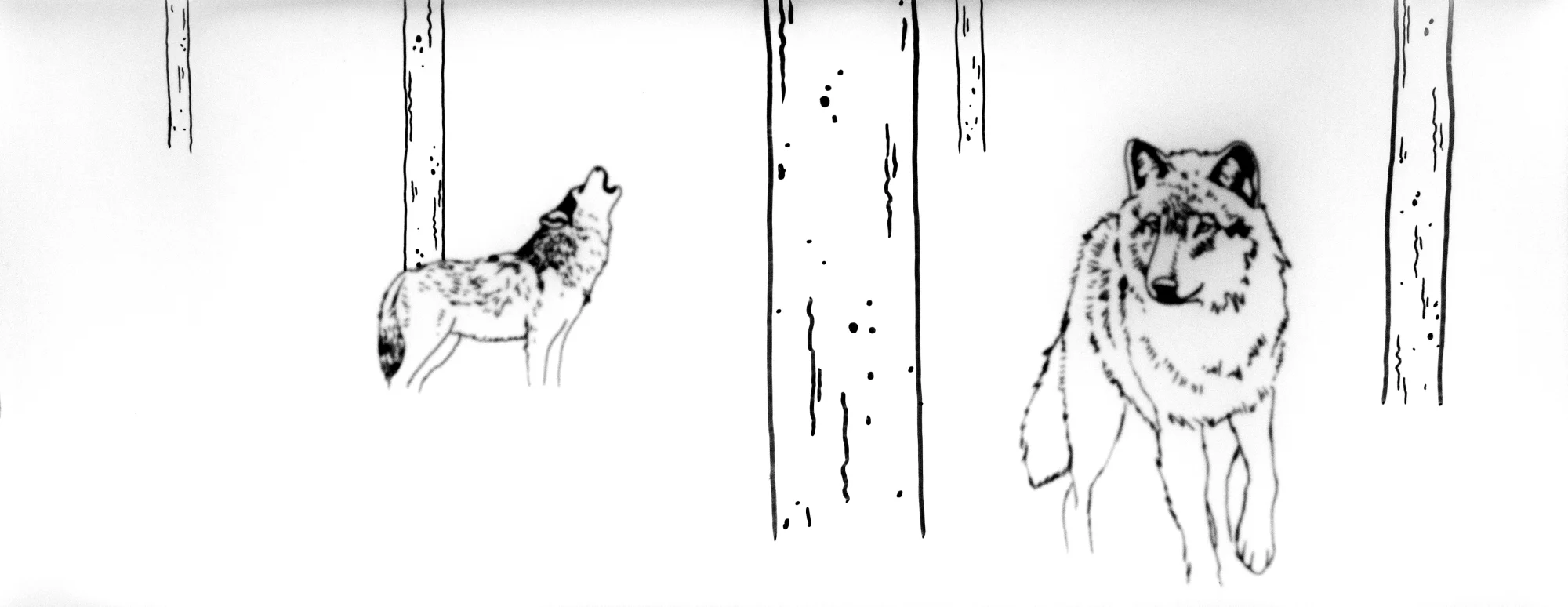 wolf.jpg