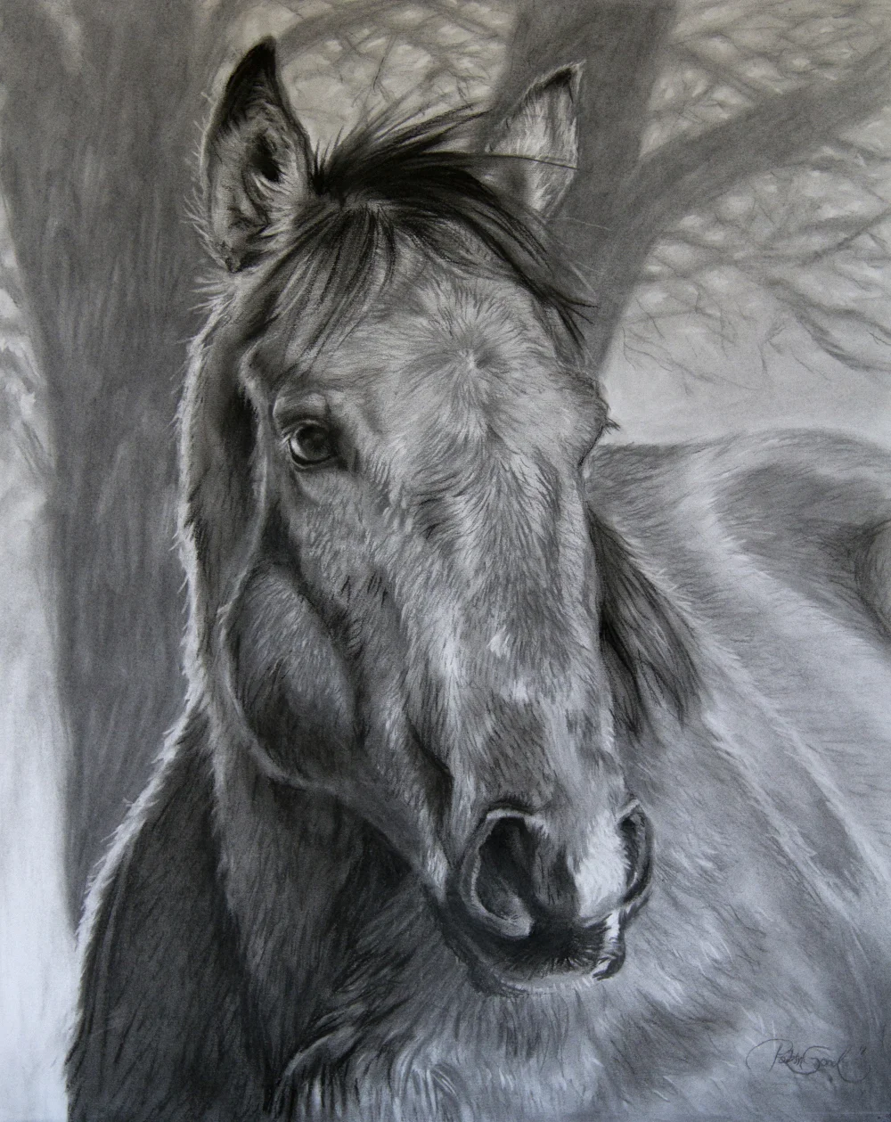 Horse Portrait