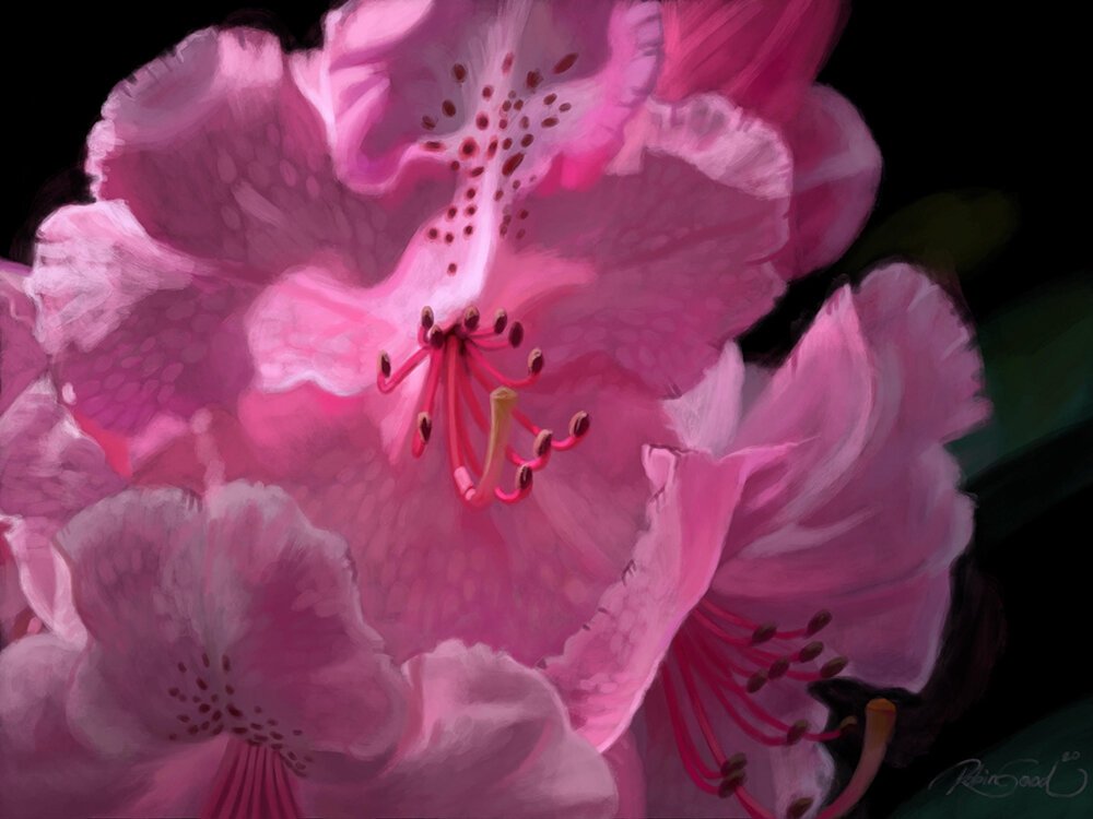 pink flower 2020 sm.jpg
