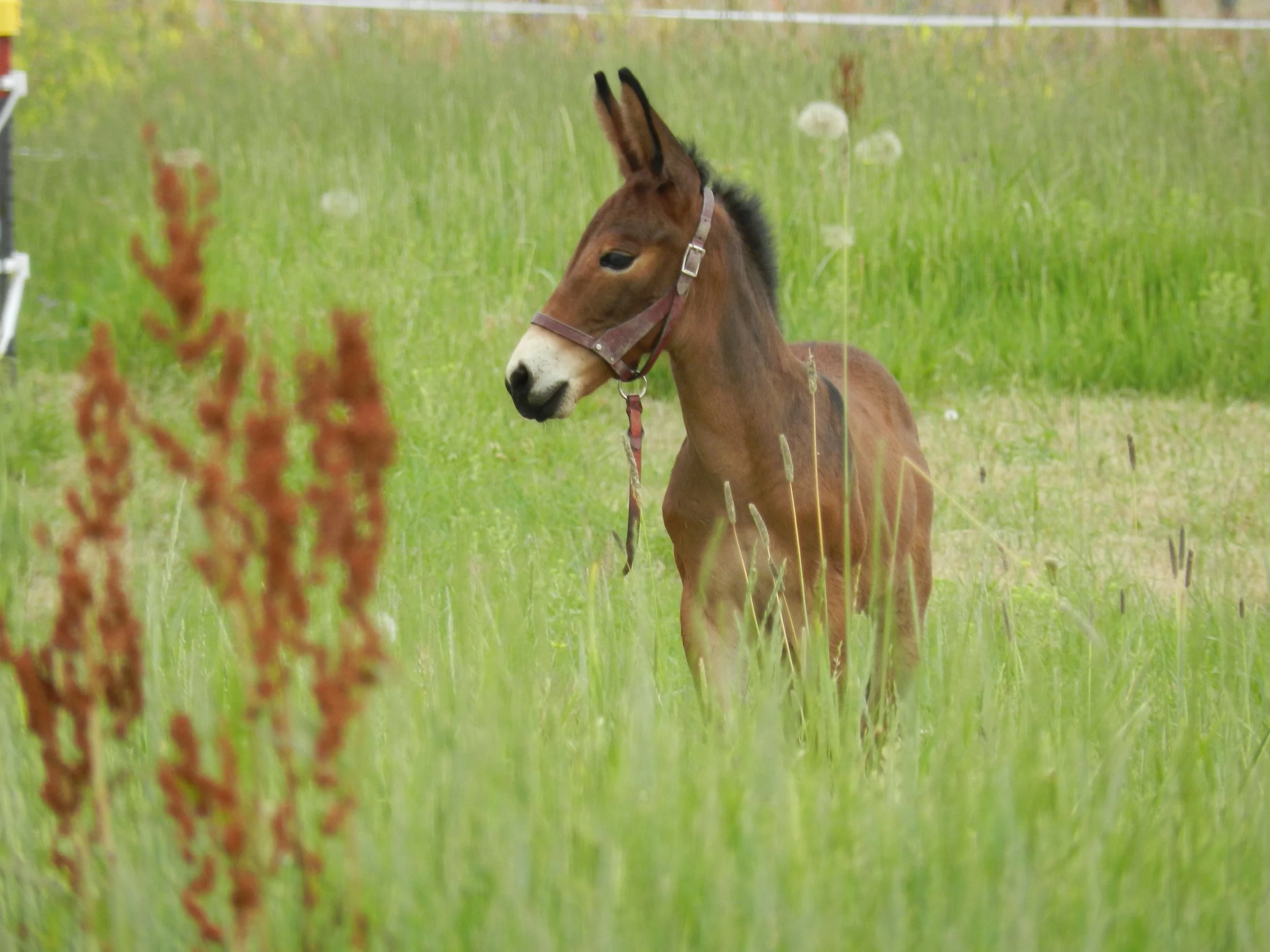DSCN3498.jpg