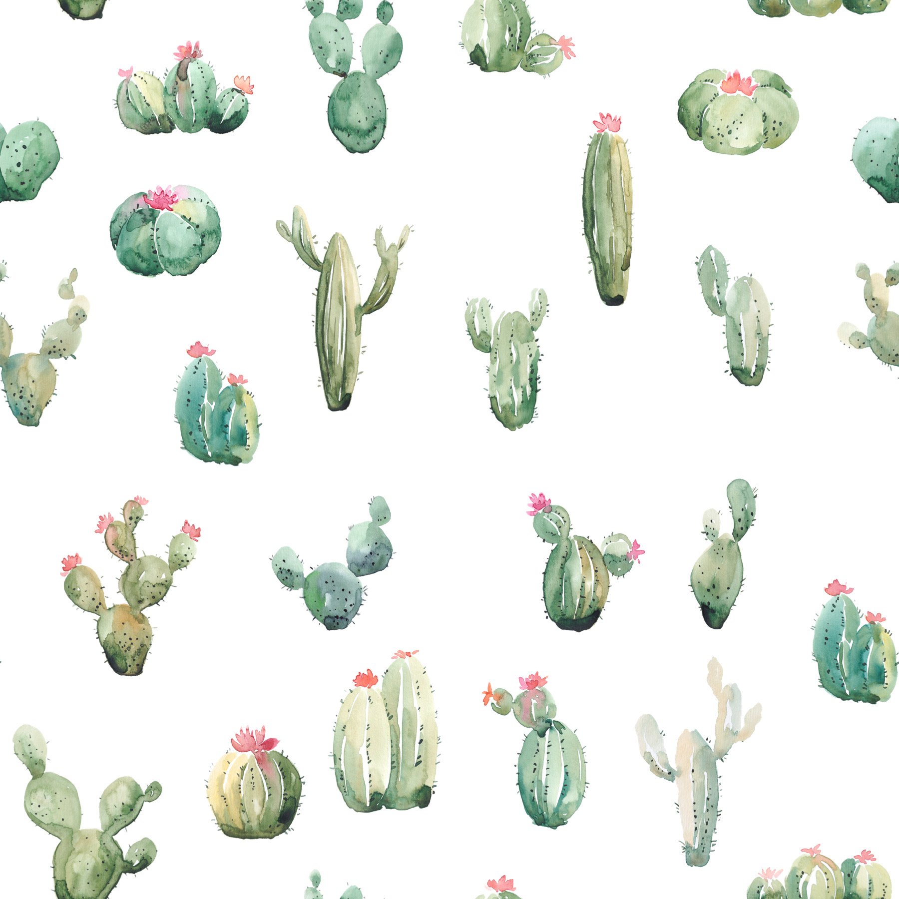 cactus edges white.jpg