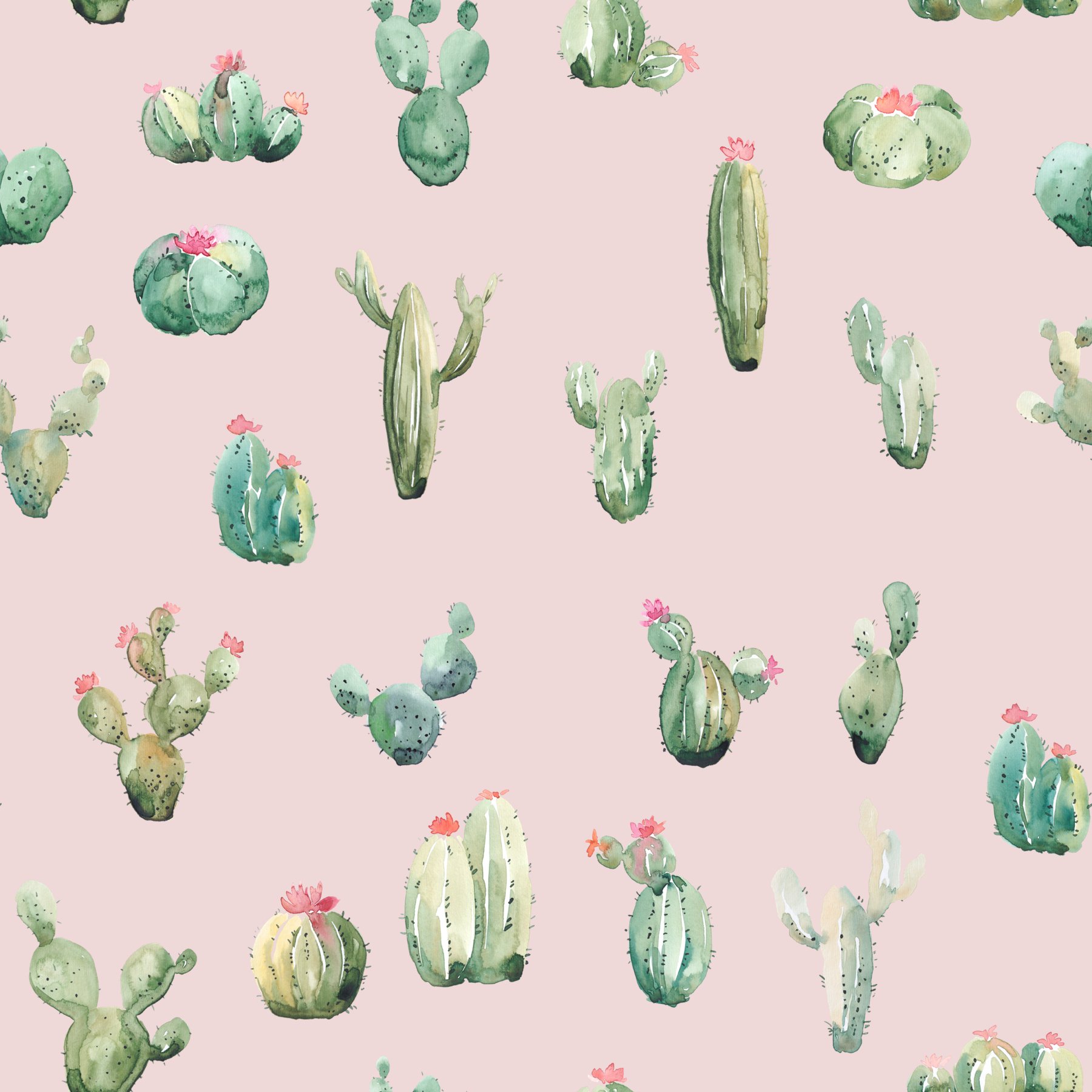 cactus edges pink.jpg