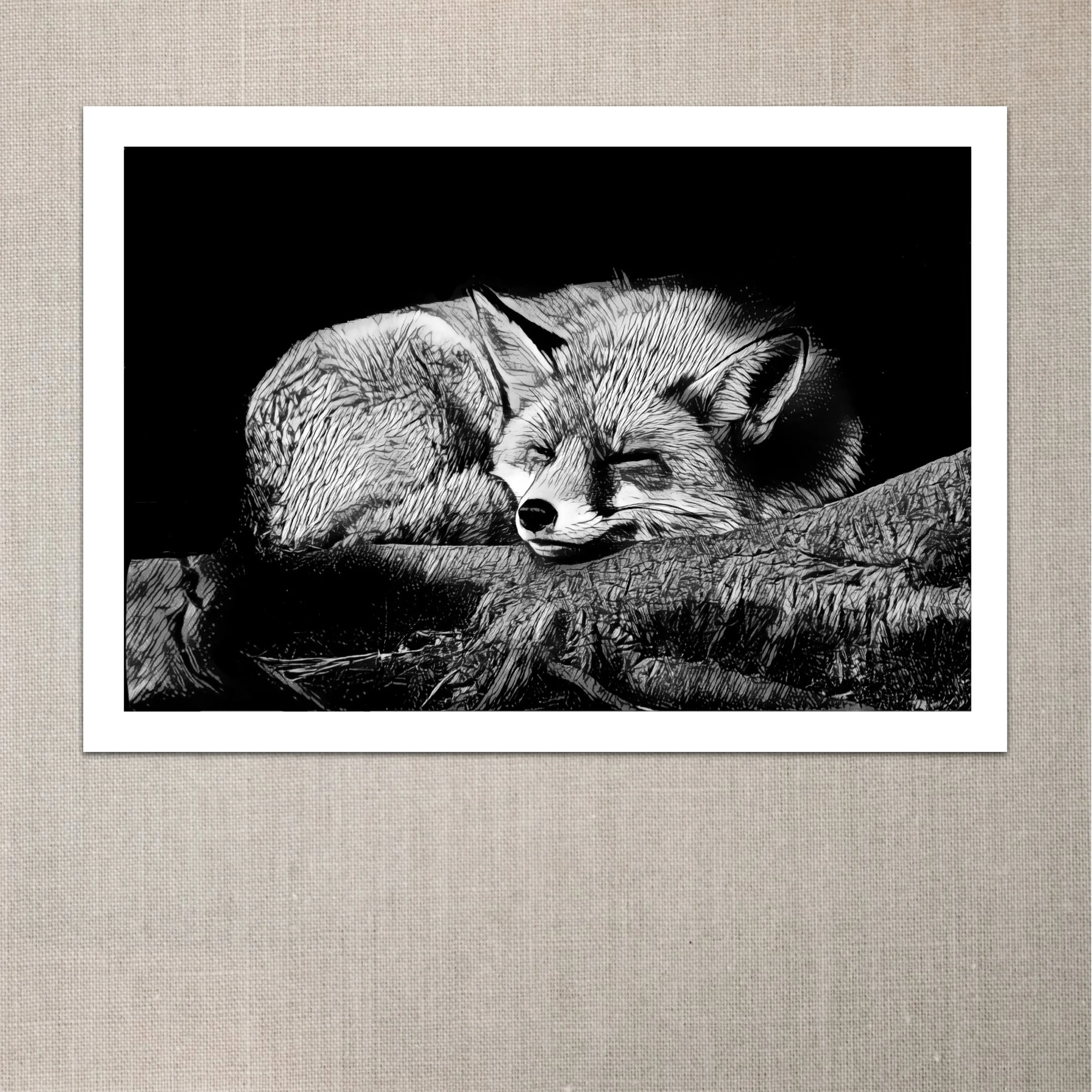 Fox on Roots