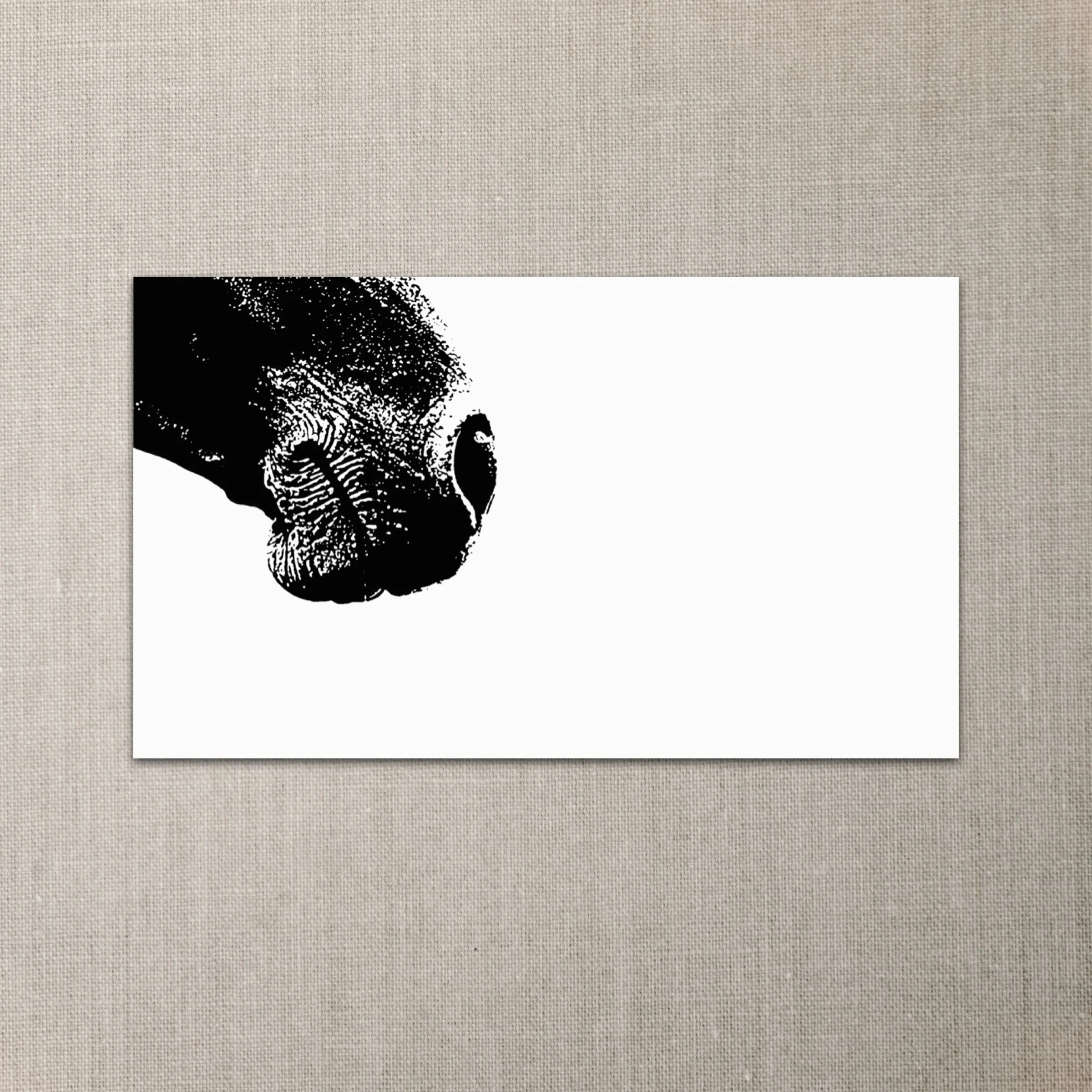 Horse Nose Mini Notes