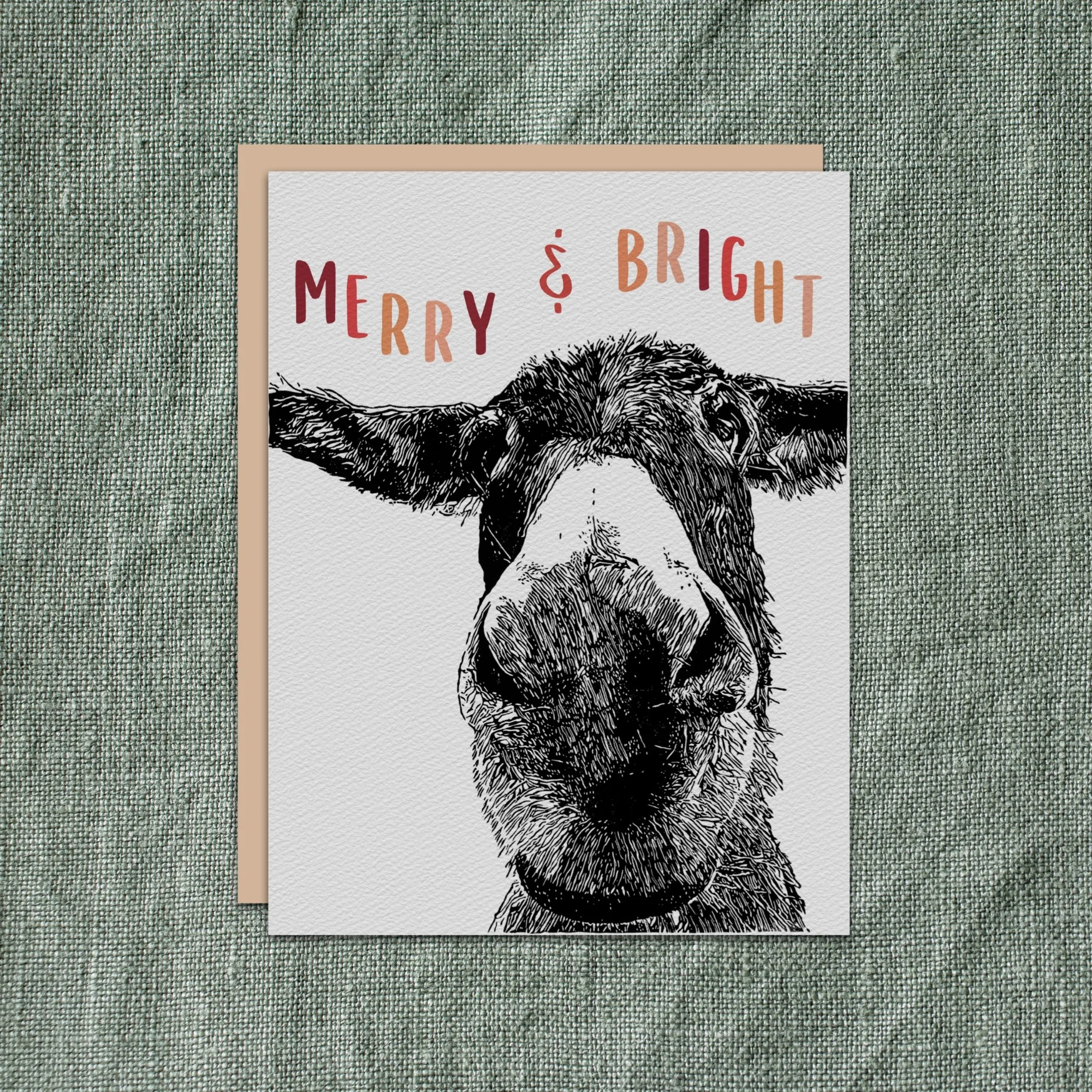 Copy of Copy of Untitled.jpg