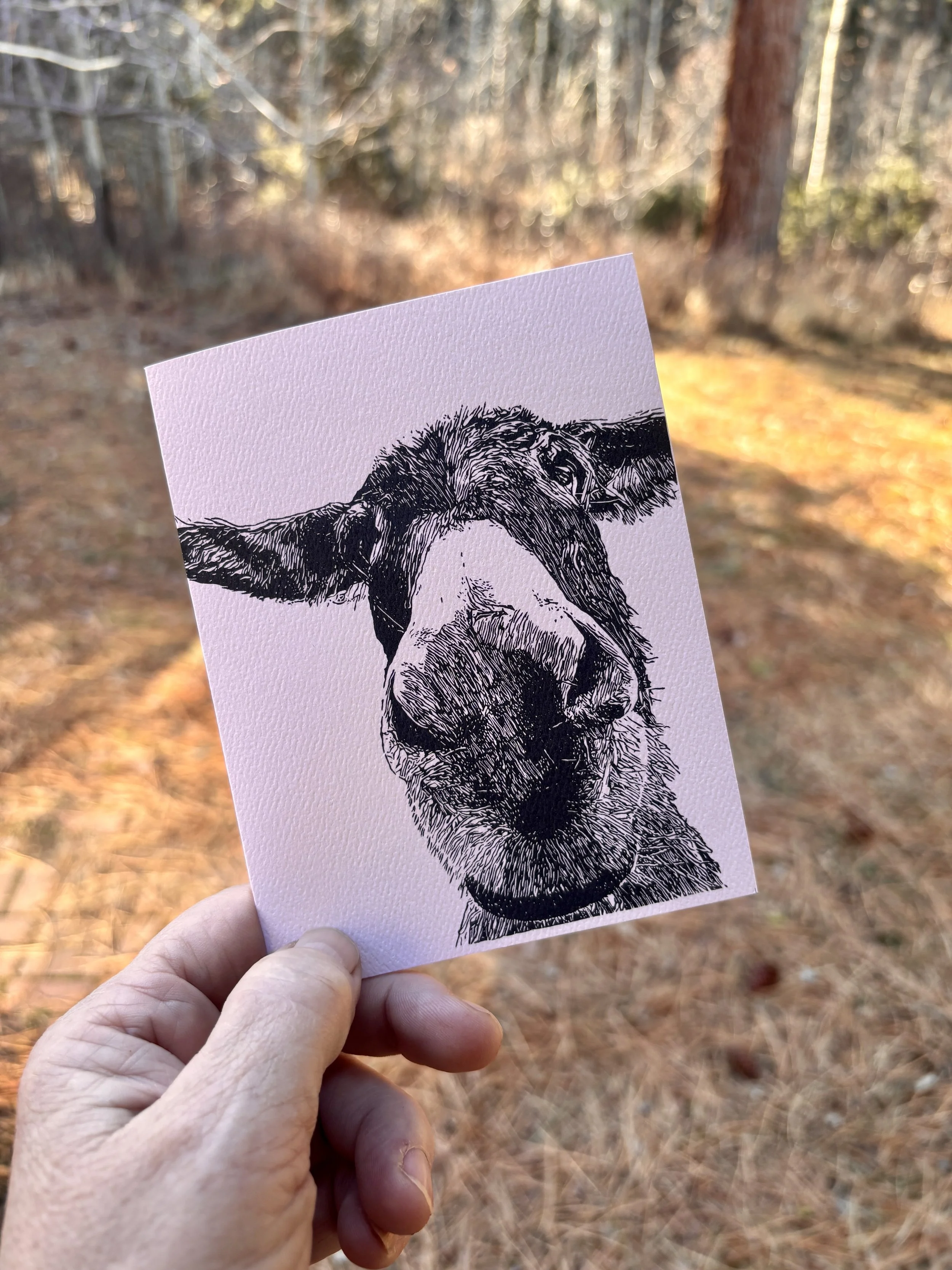 "Maya" Donkey Notecard
