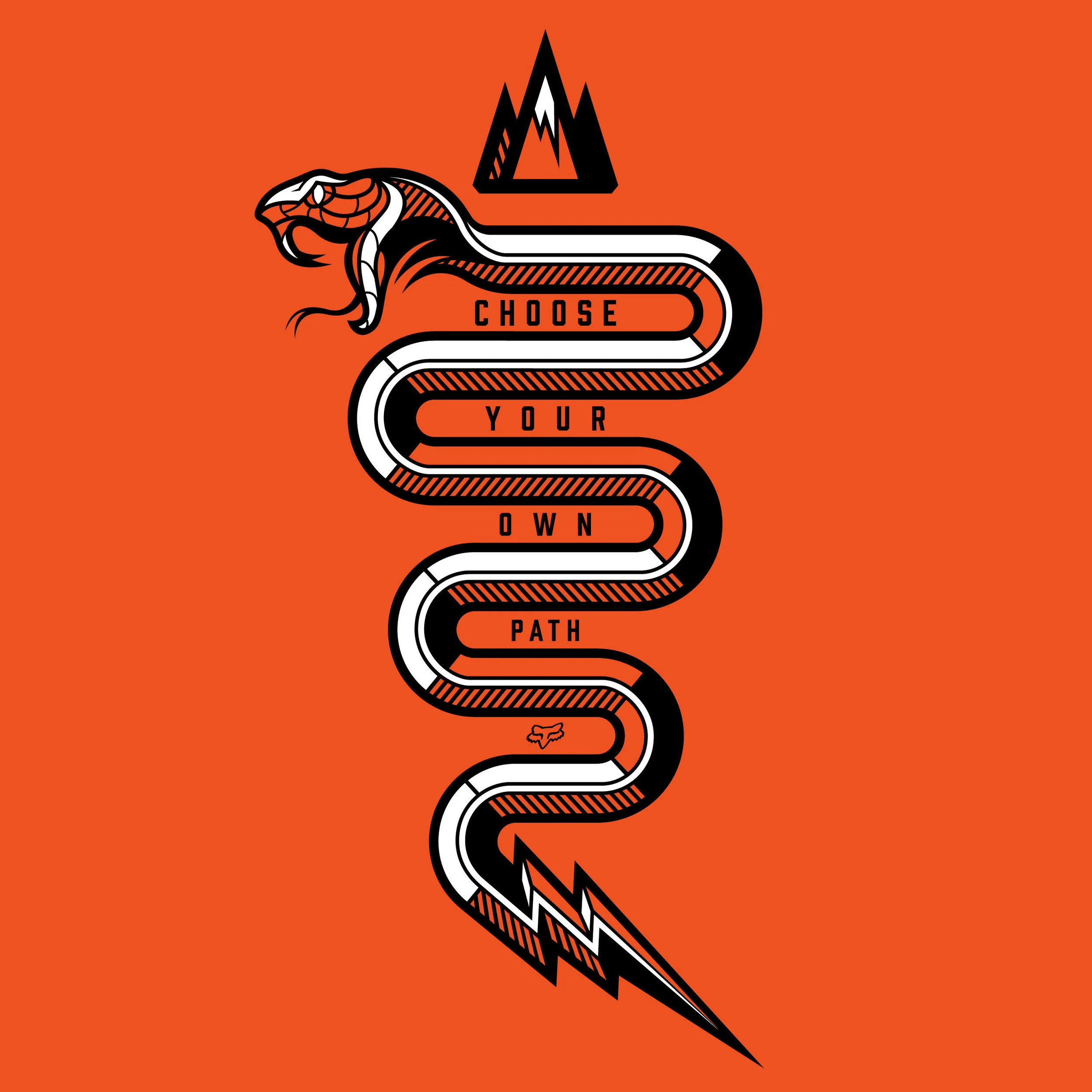  Branding & Packaging Concept Design - Fox Bike