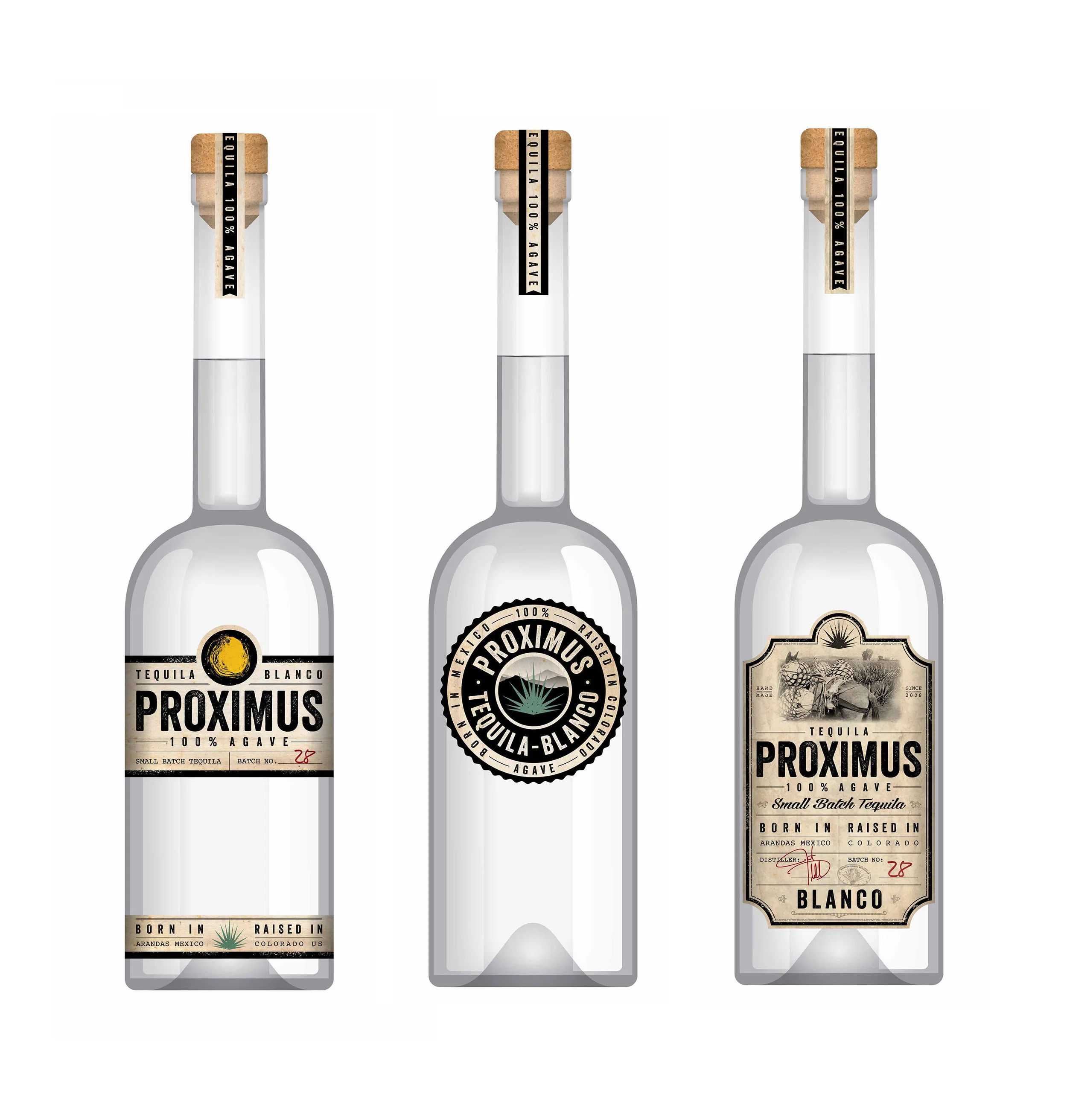 Branding & Packaging Concept Design - Proximus Tequila