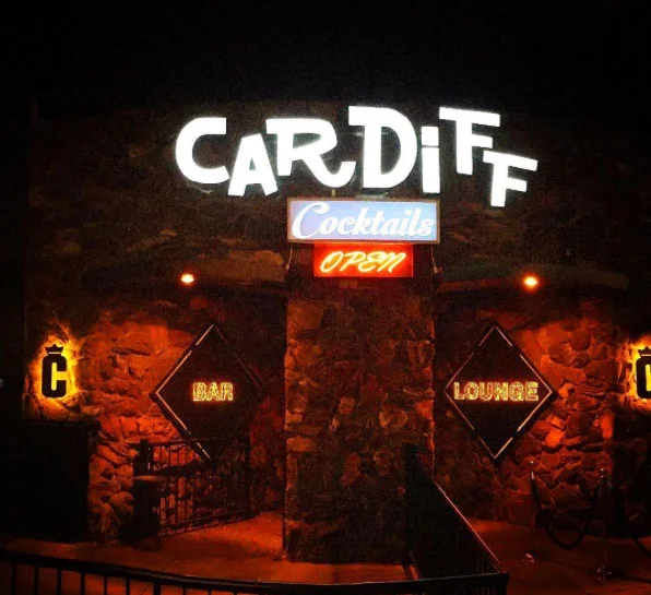 CARDIFF LIT UP.jpg