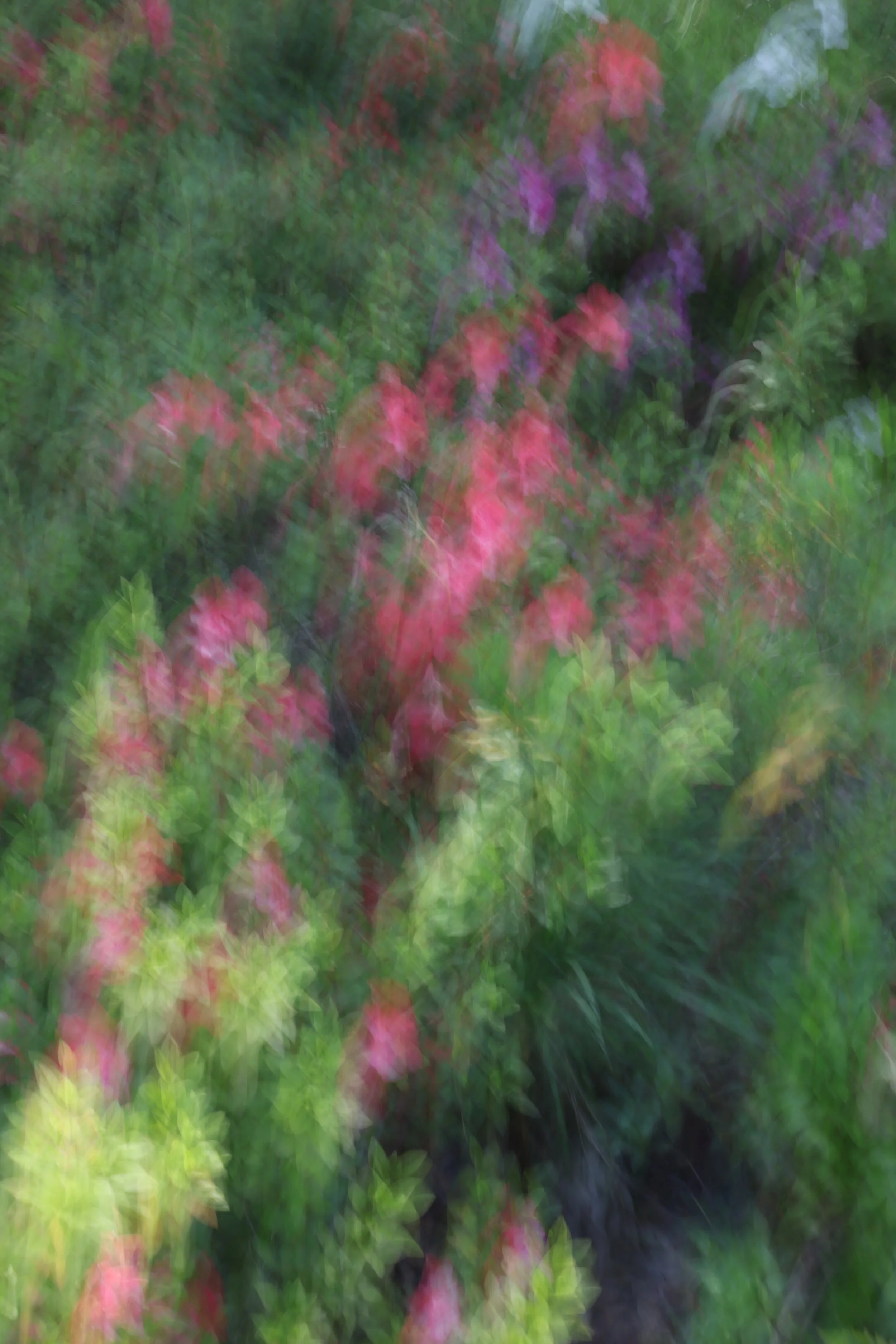 048A4115.JPG