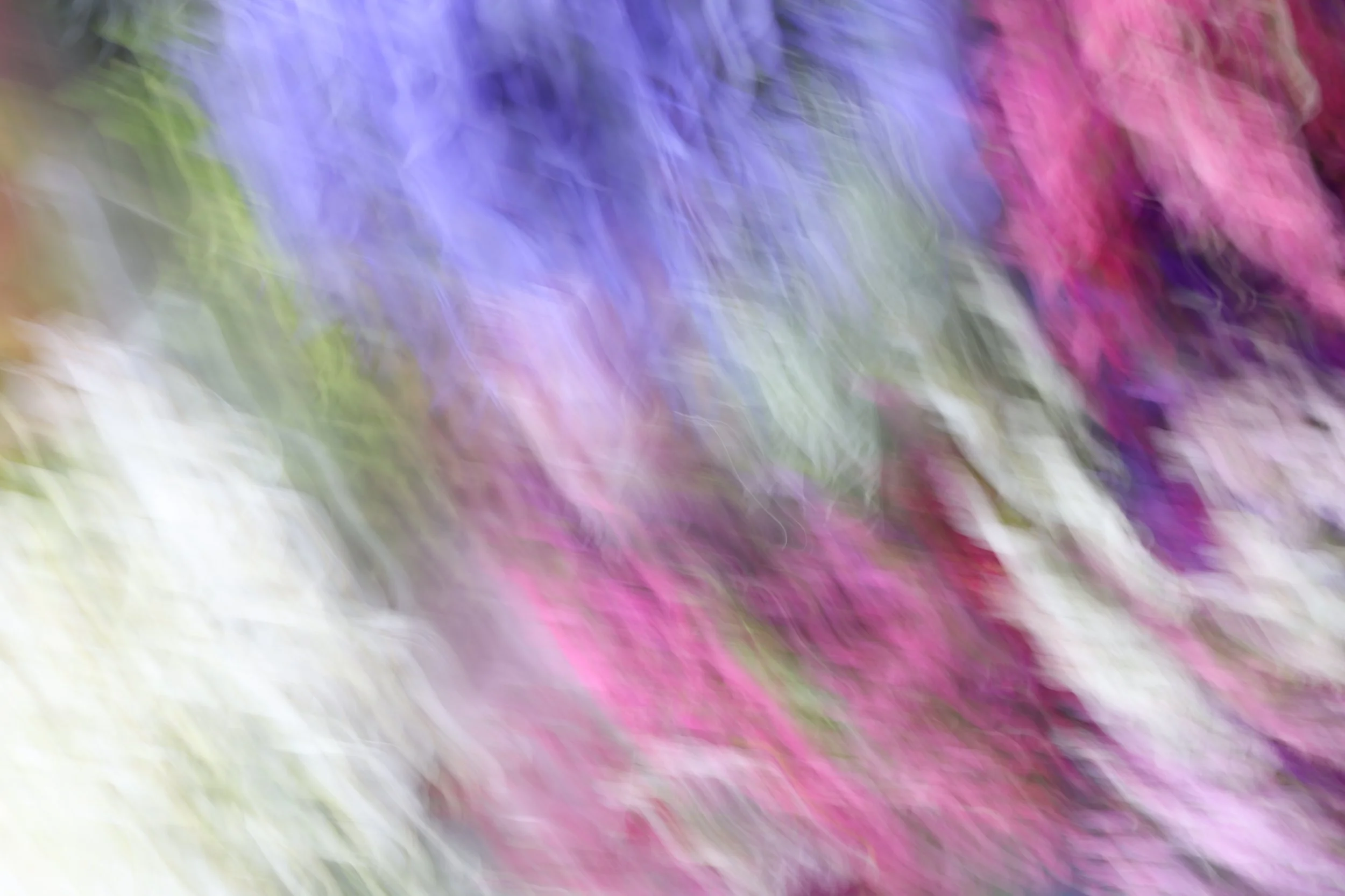 048A4248.JPG