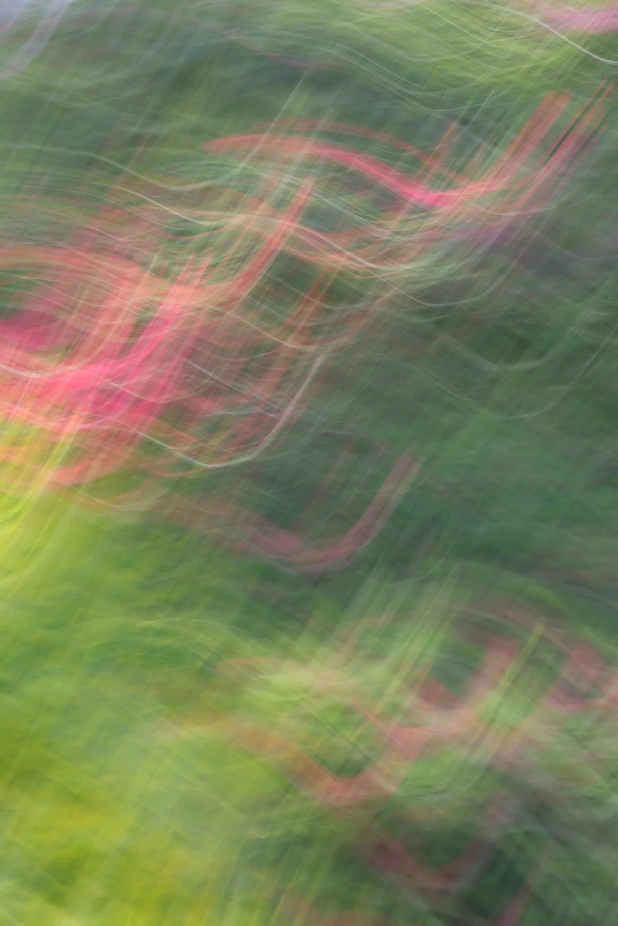 048A4125.JPG