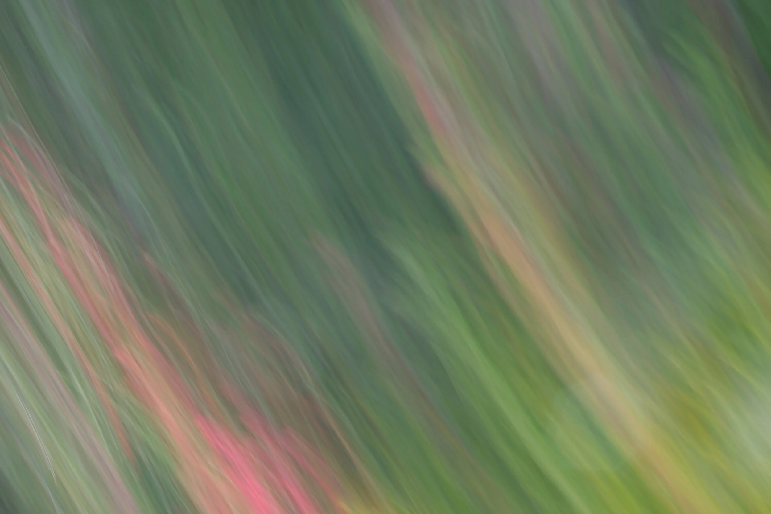 048A4124.JPG