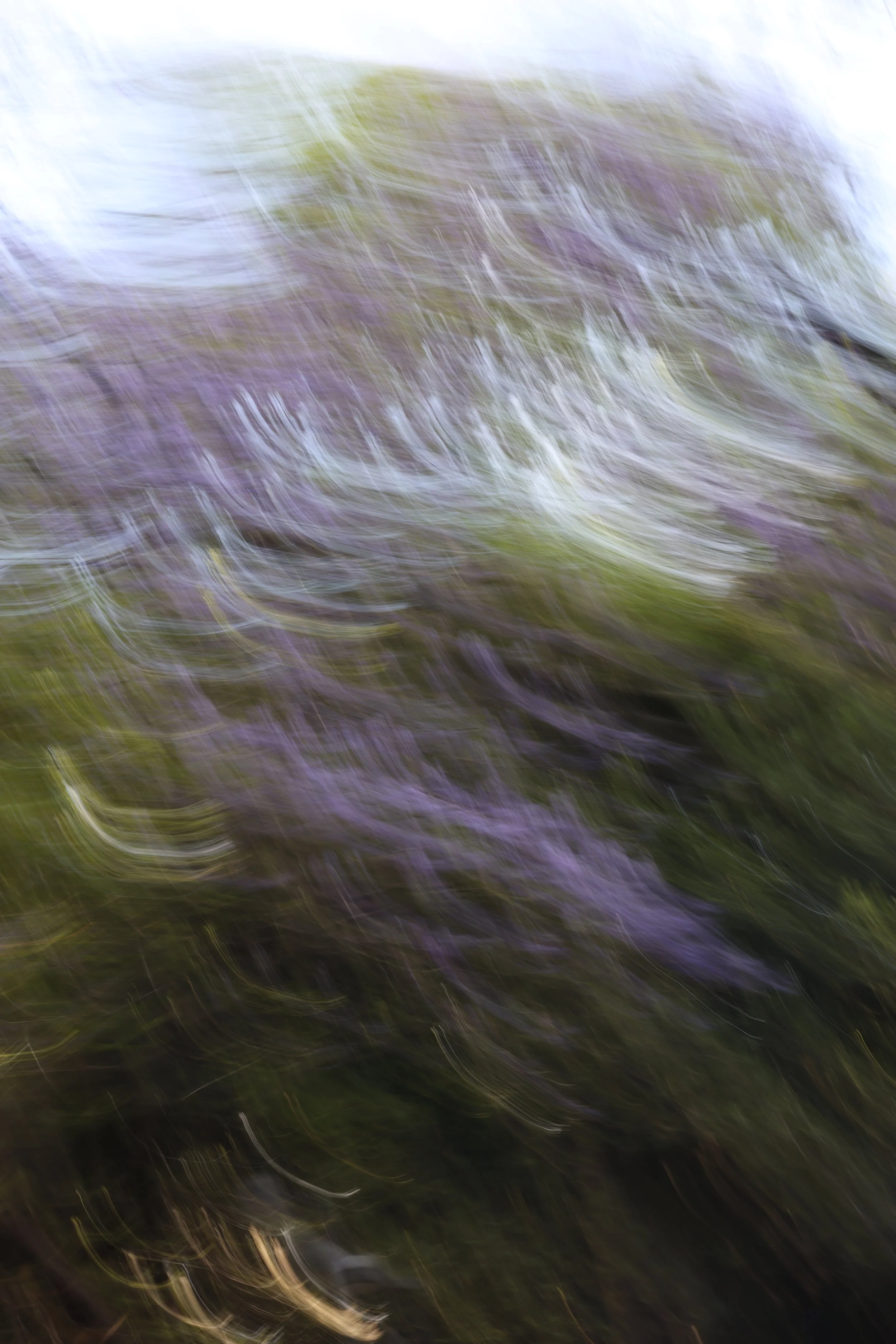 048A4033.JPG