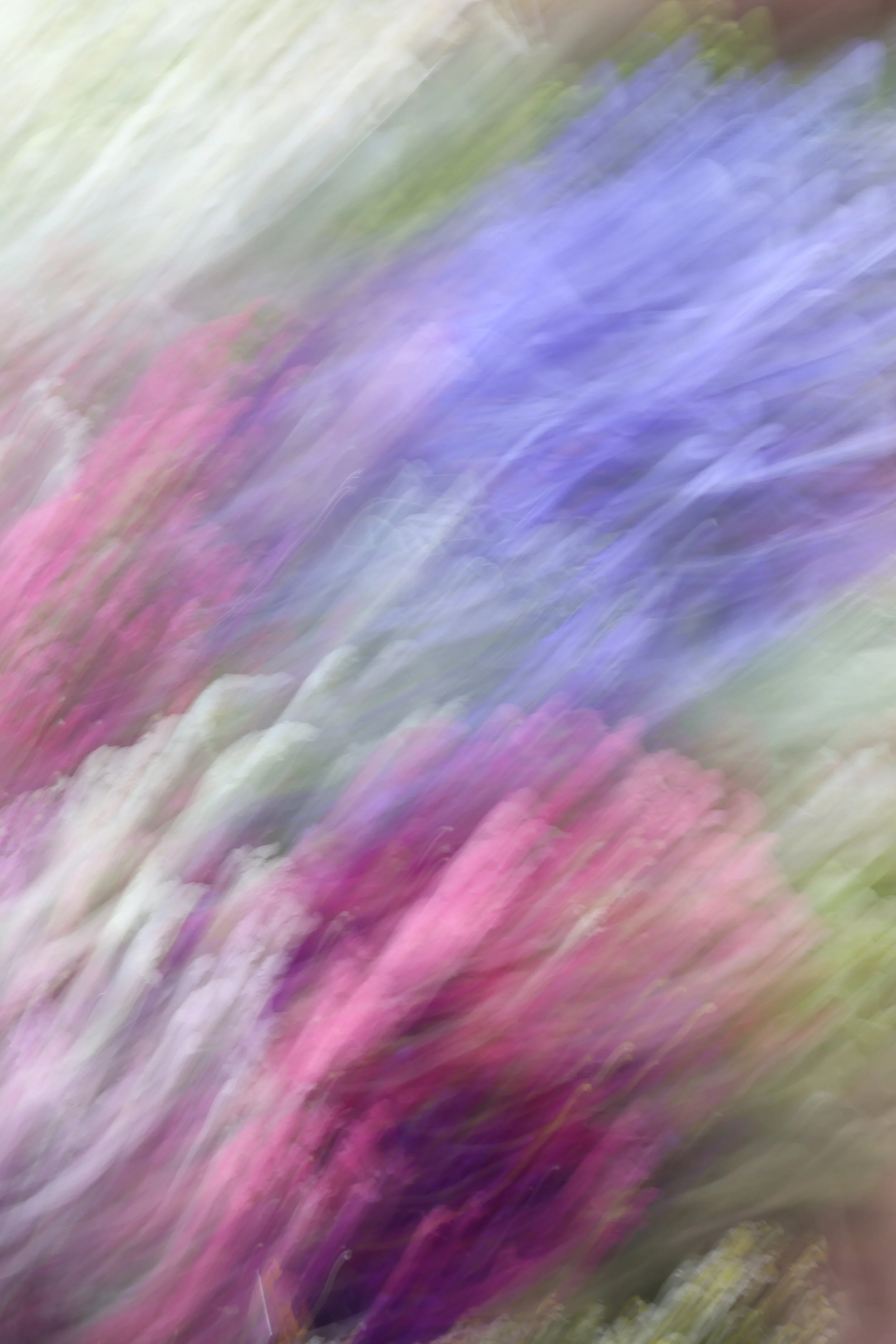 048A4247.JPG