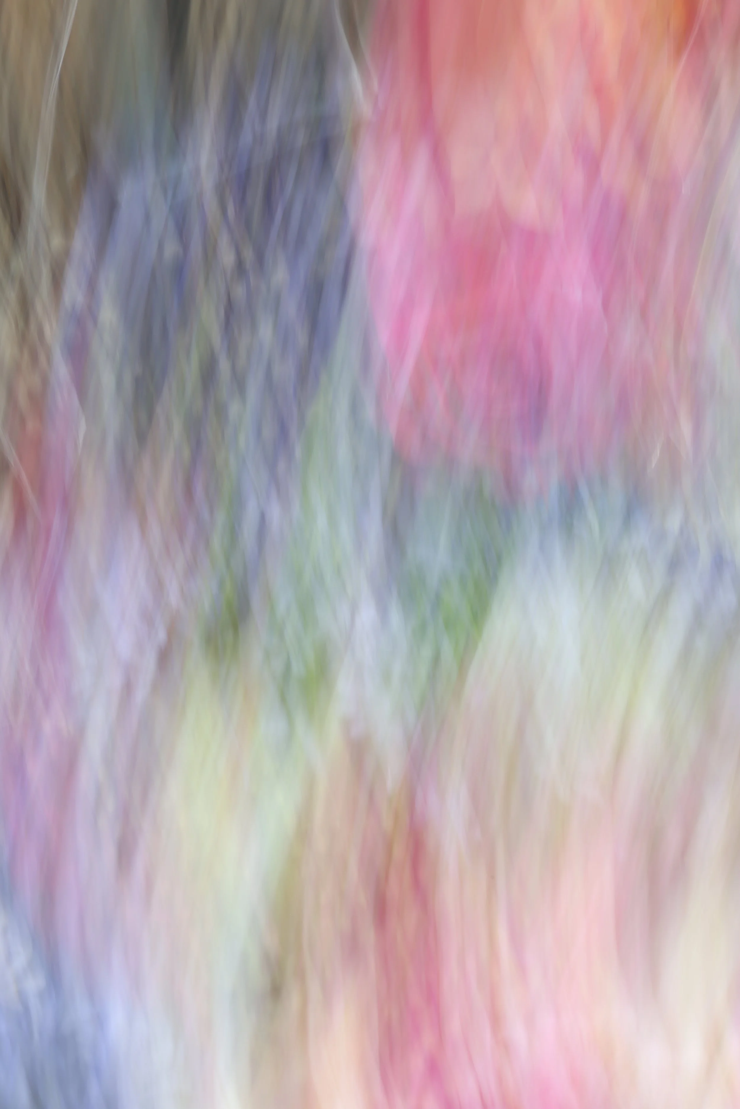 048A4279.JPG