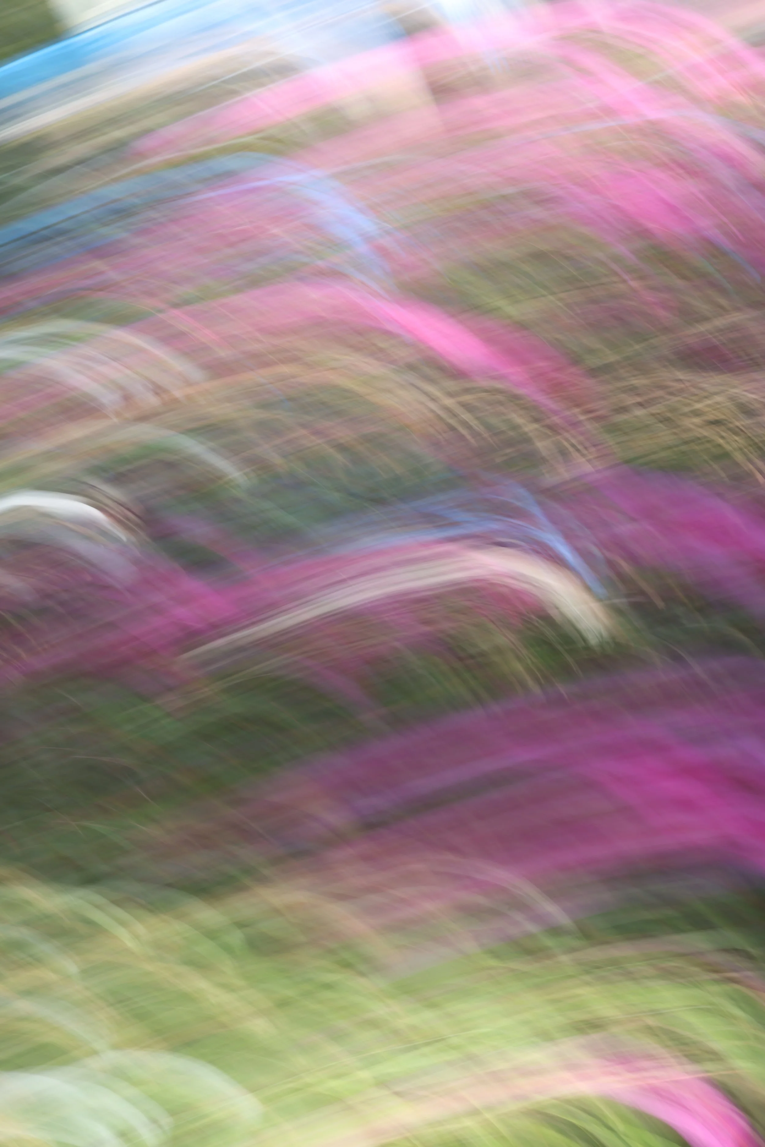 048A4043.JPG