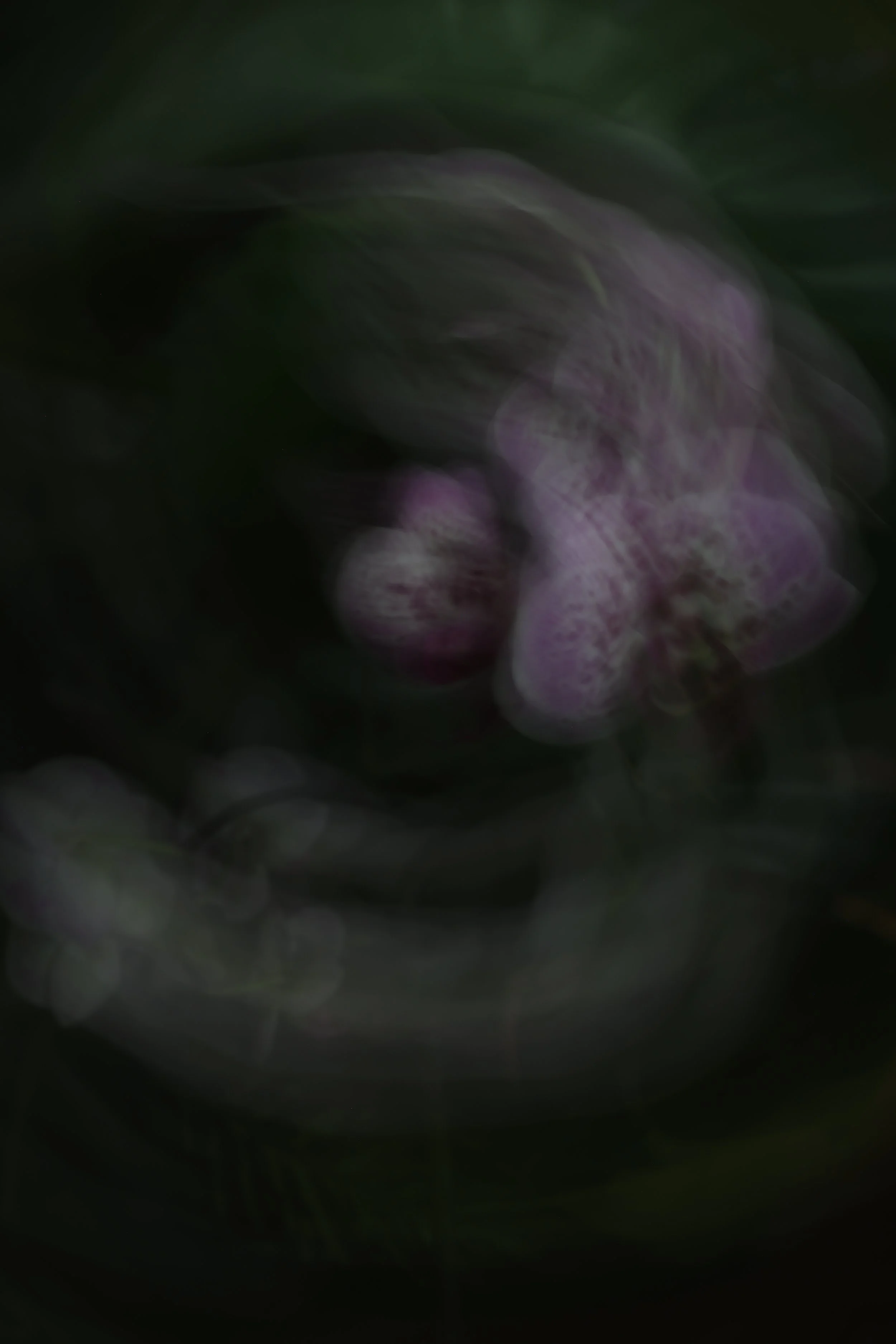 048A4644.JPG