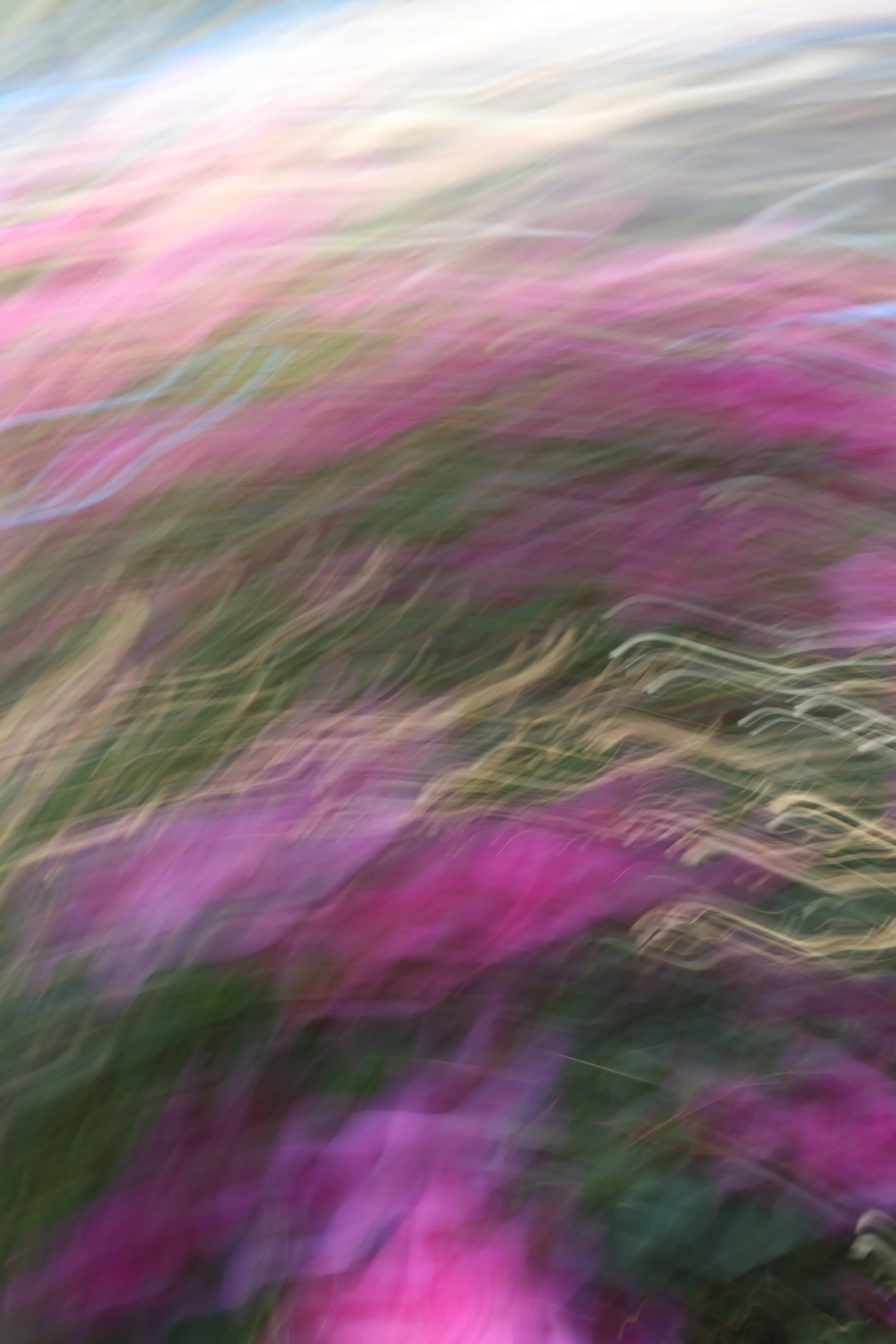 048A4040.JPG