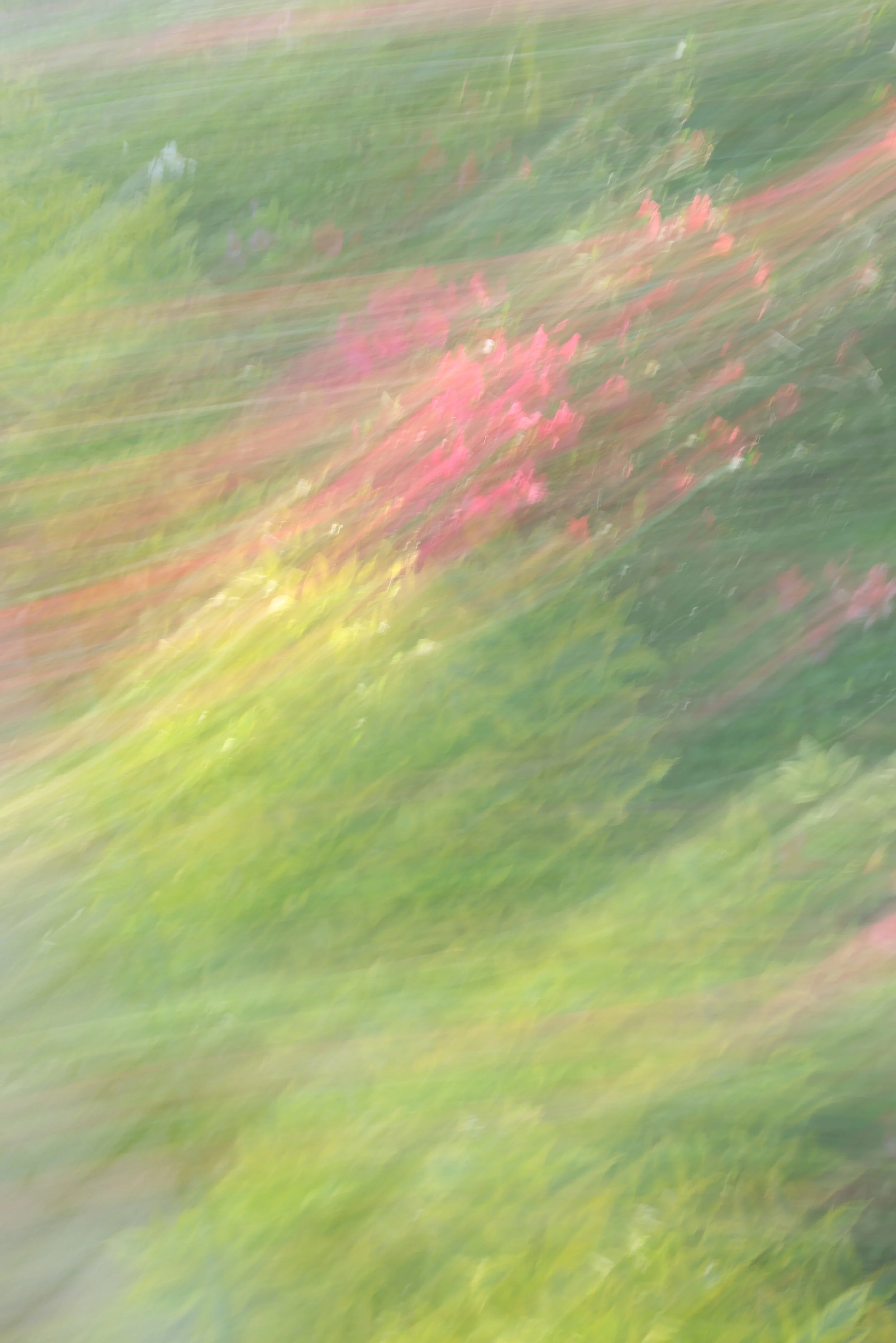 048A4126.JPG