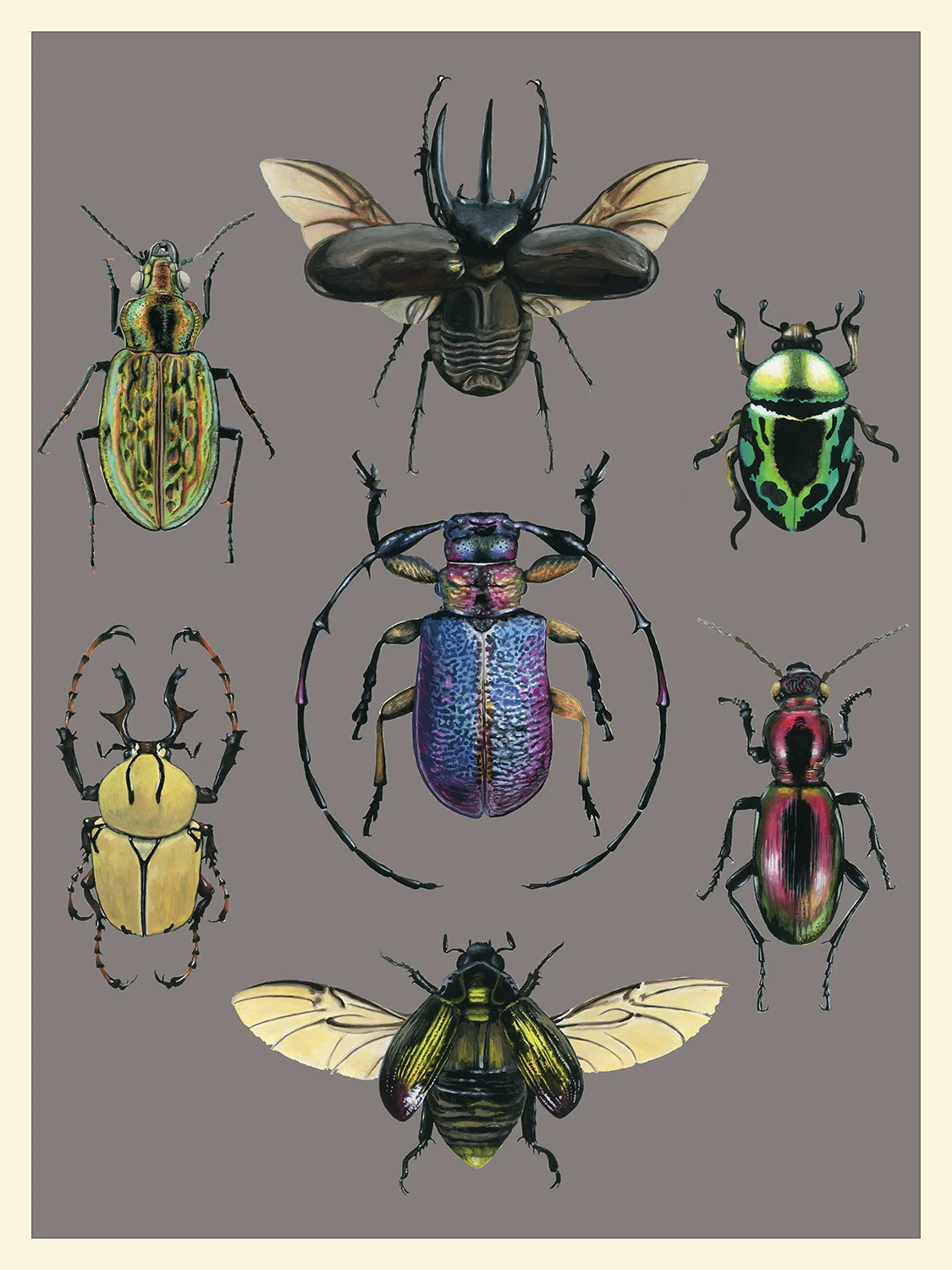 Beetle types