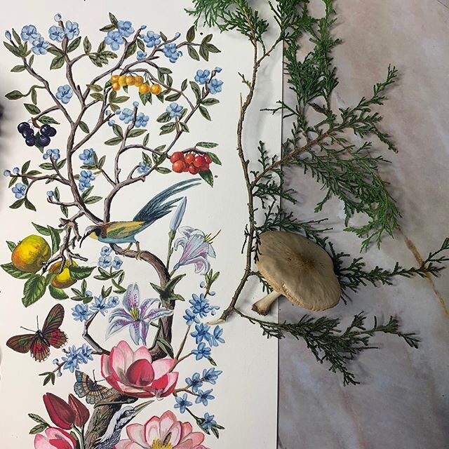 Little chinoiserie composition with some treasures from a walk. 🌈