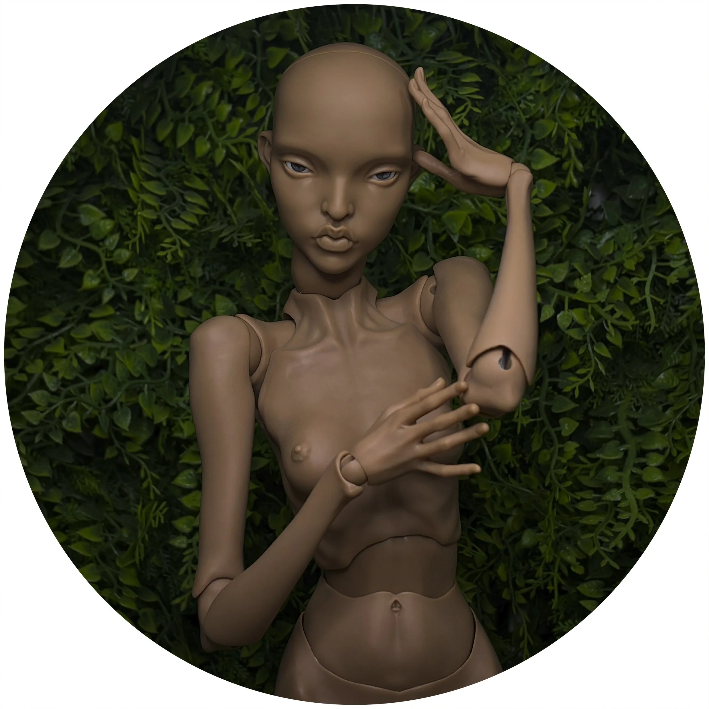 Ebony Silk OG CRAVE 1.jpg