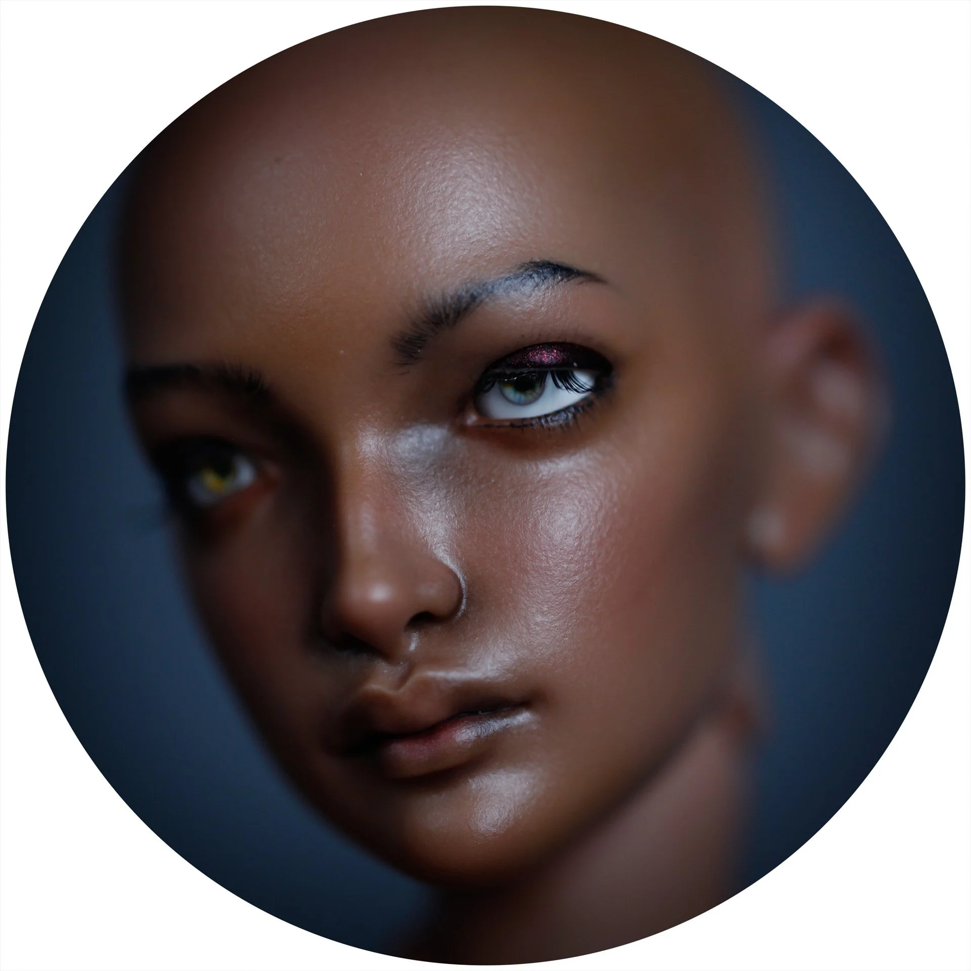 12.16.25 Idea Ebony Silk 16.jpeg